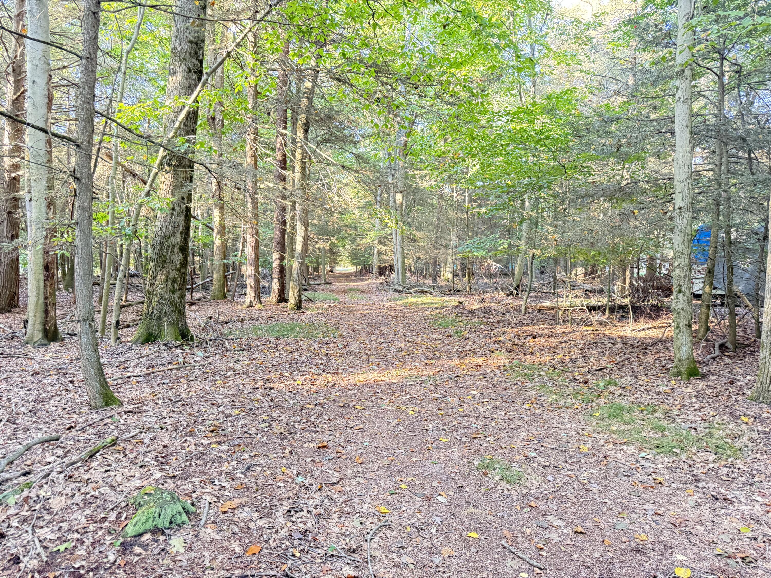 8367 W Stony Lake Road