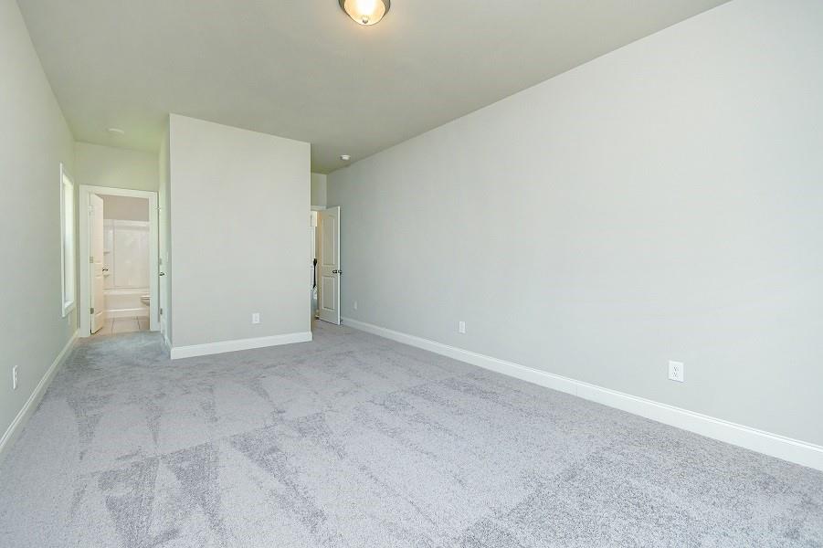 252 Basie Loop