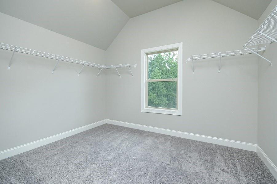 252 Basie Loop