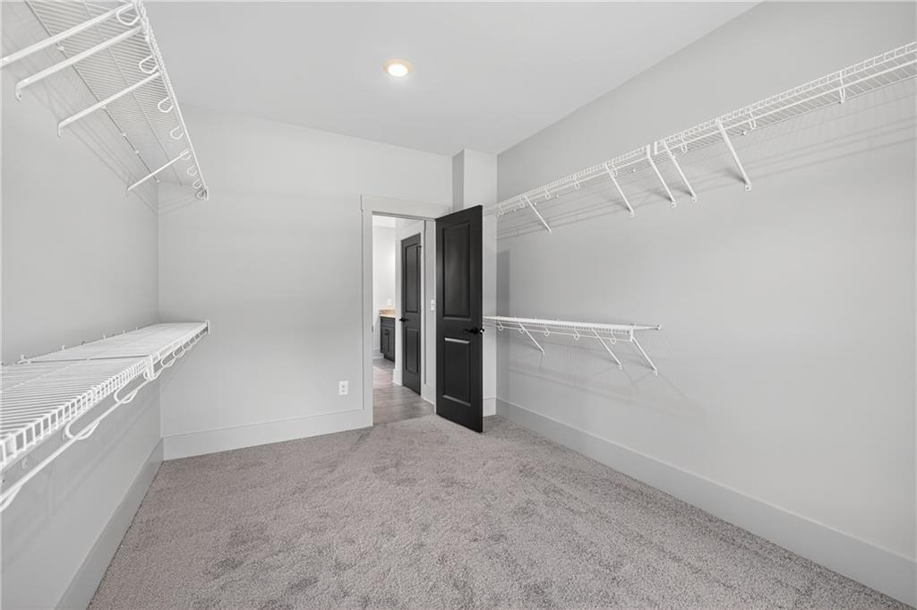 176 Blue Rider Trail