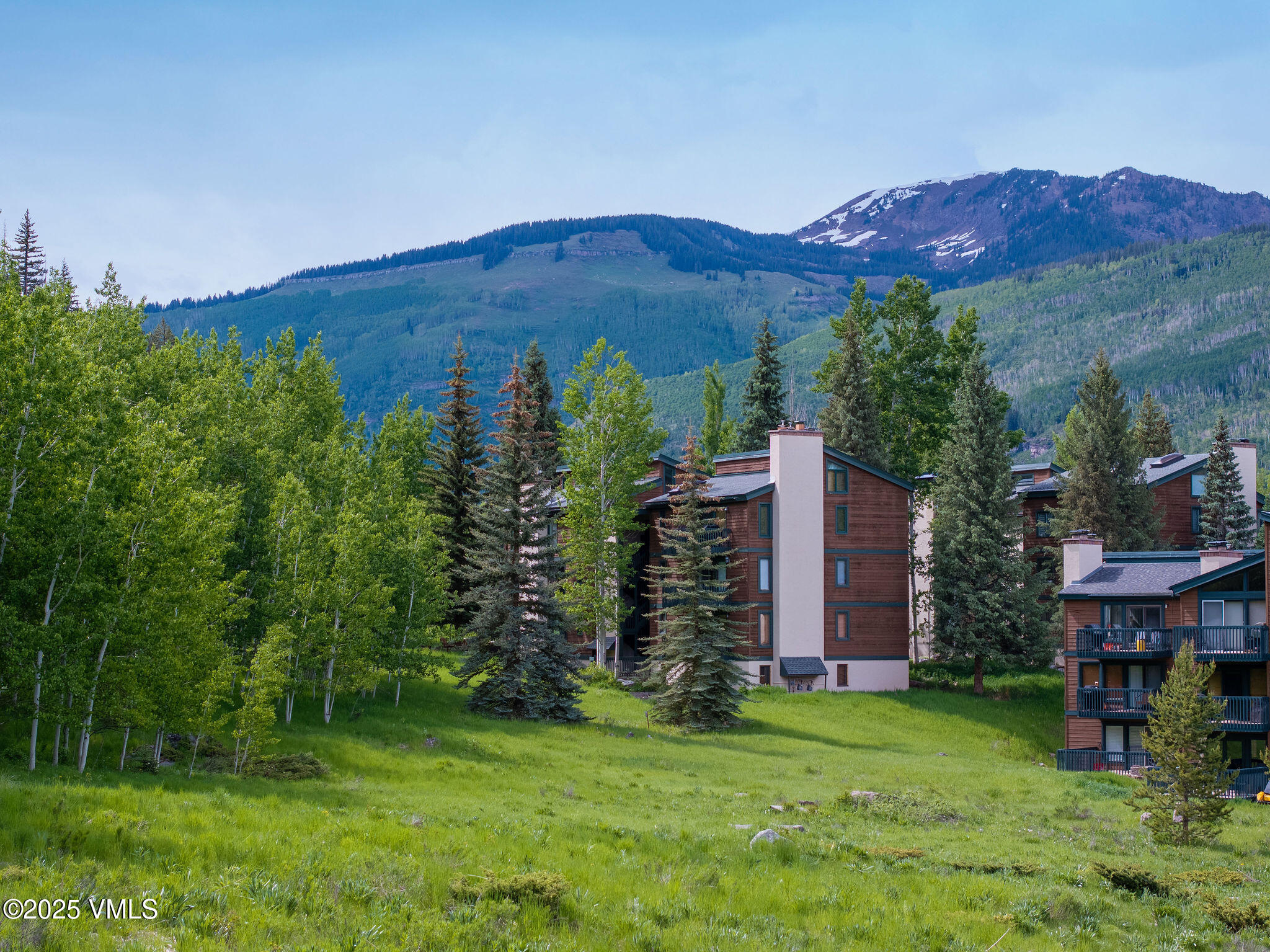 4470 Timber Falls Court, 1407