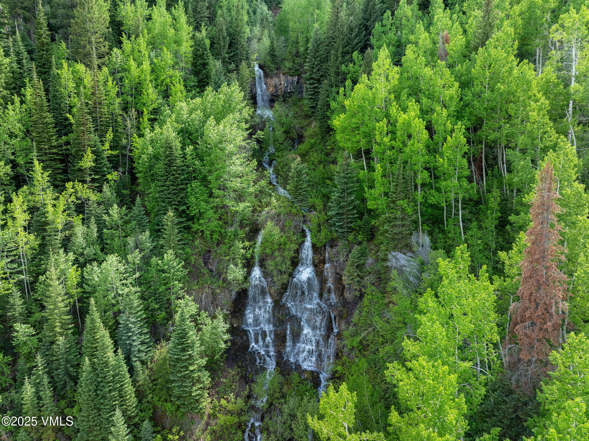 4470 Timber Falls Court, 1407