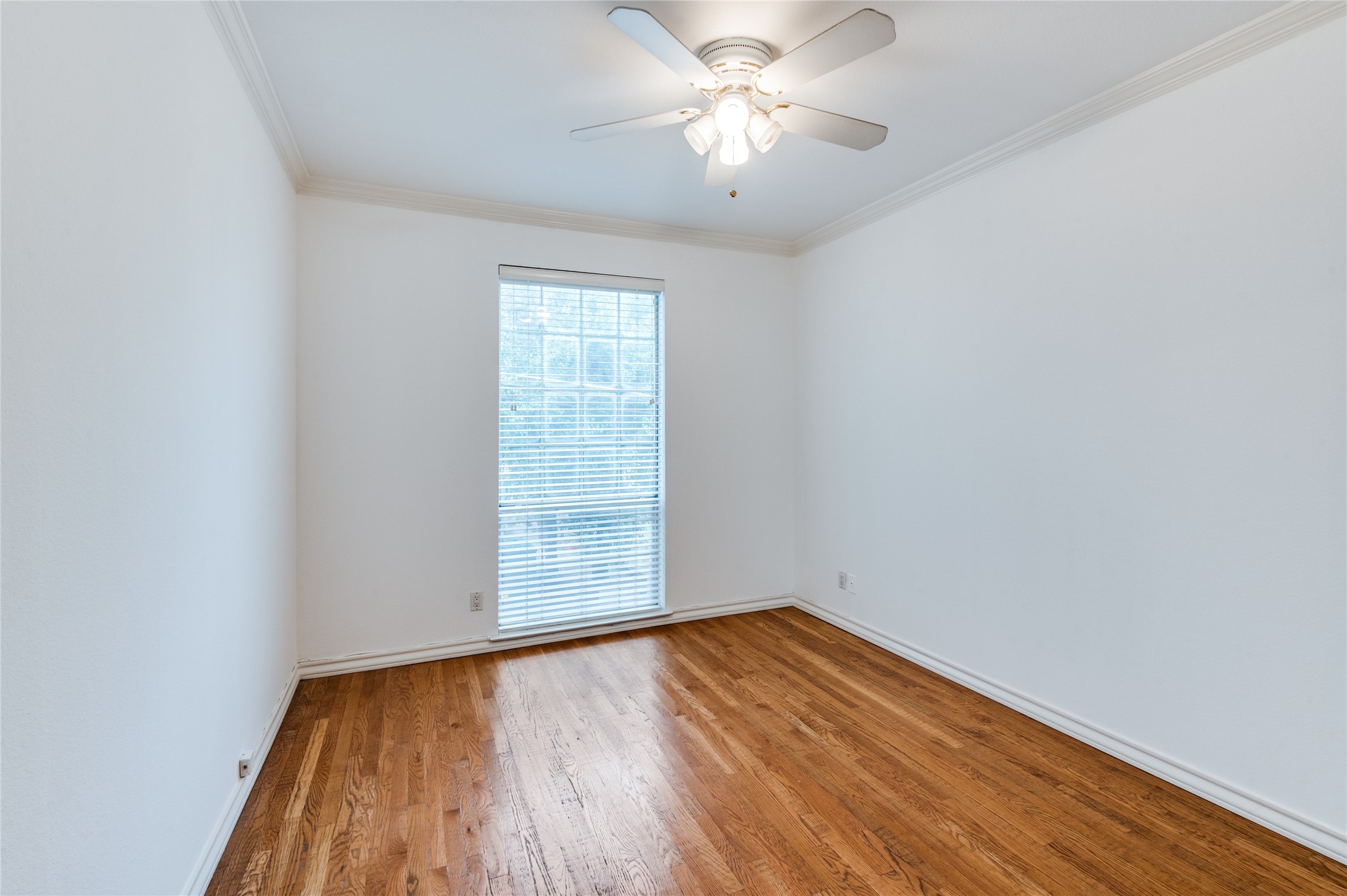 3208 Cole Avenue 1204