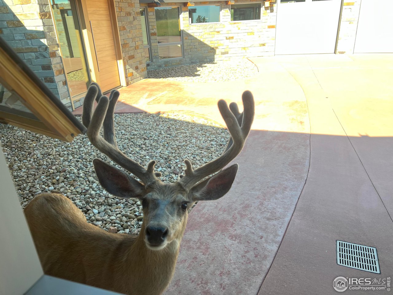 4604 Sunshine Canyon Dr