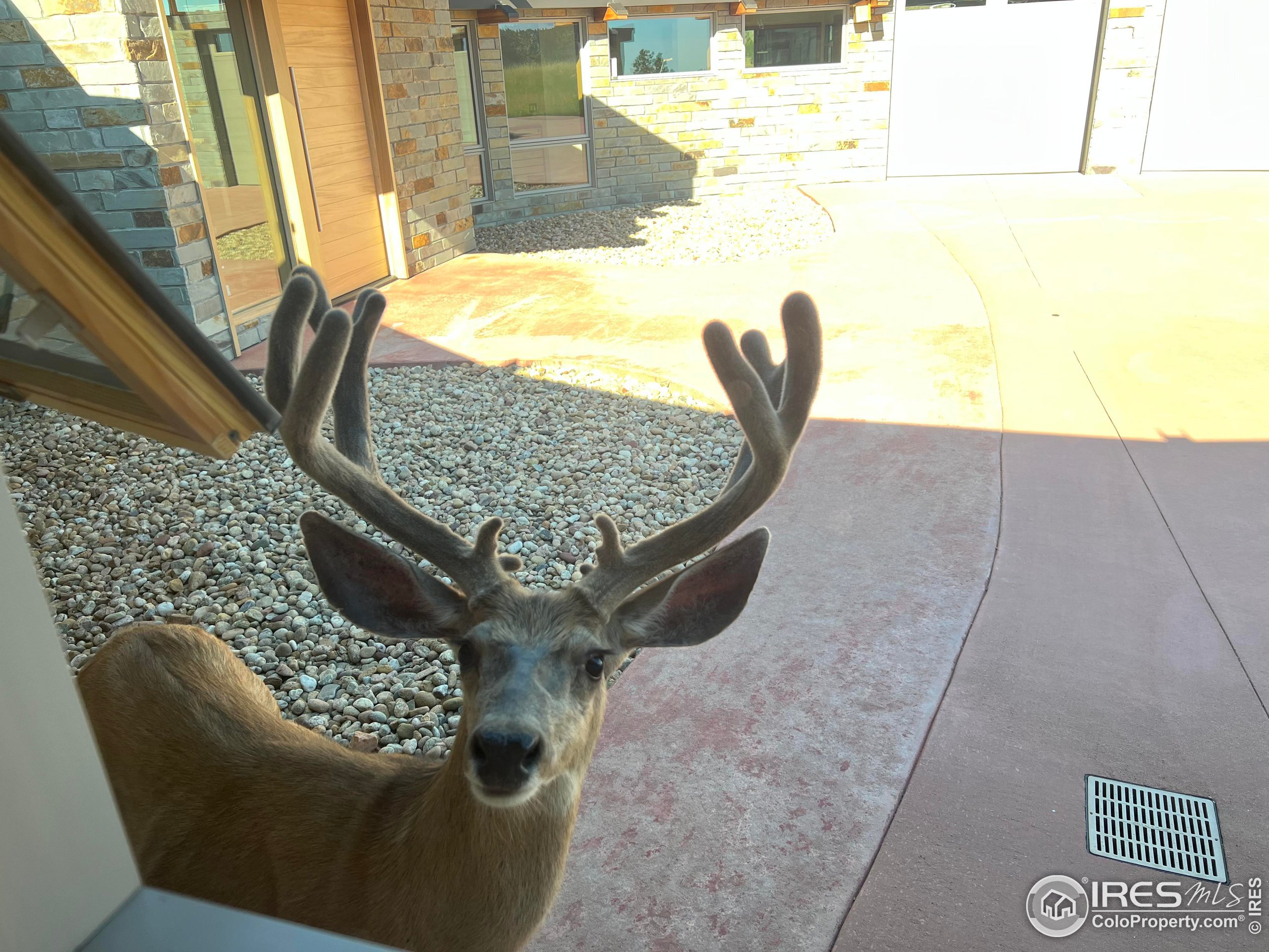 4604 Sunshine Canyon Dr