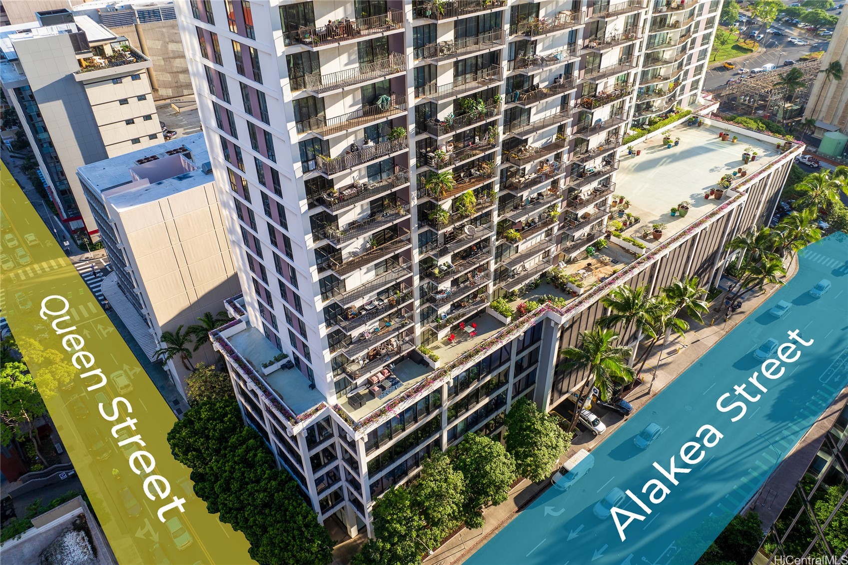 225 Queen Street 14C