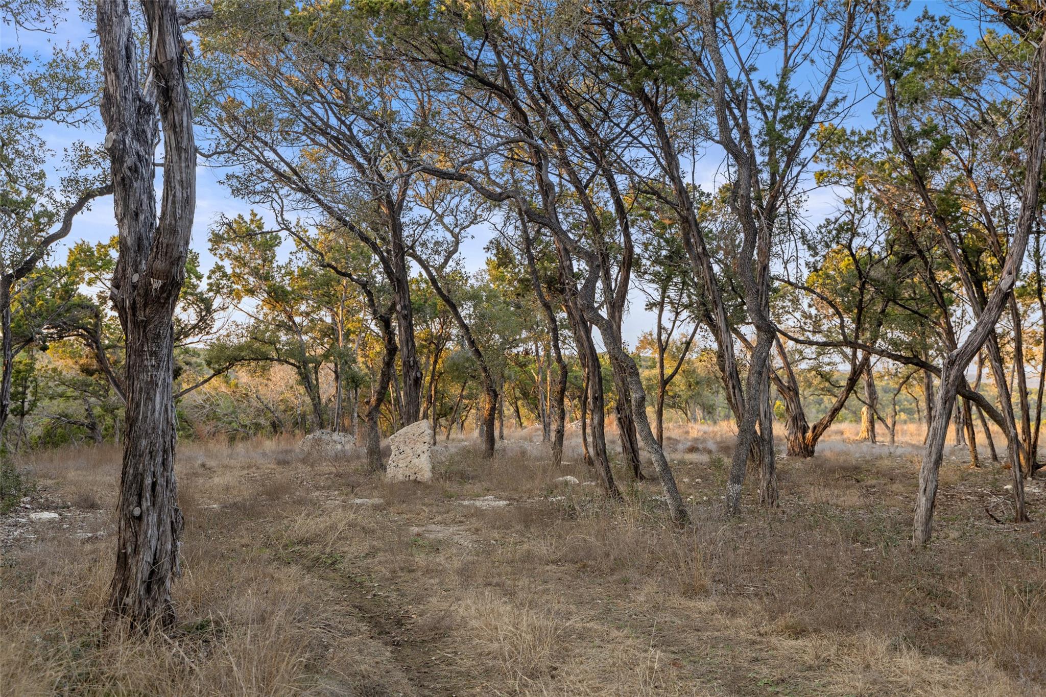 5946 Grotto Creek CT