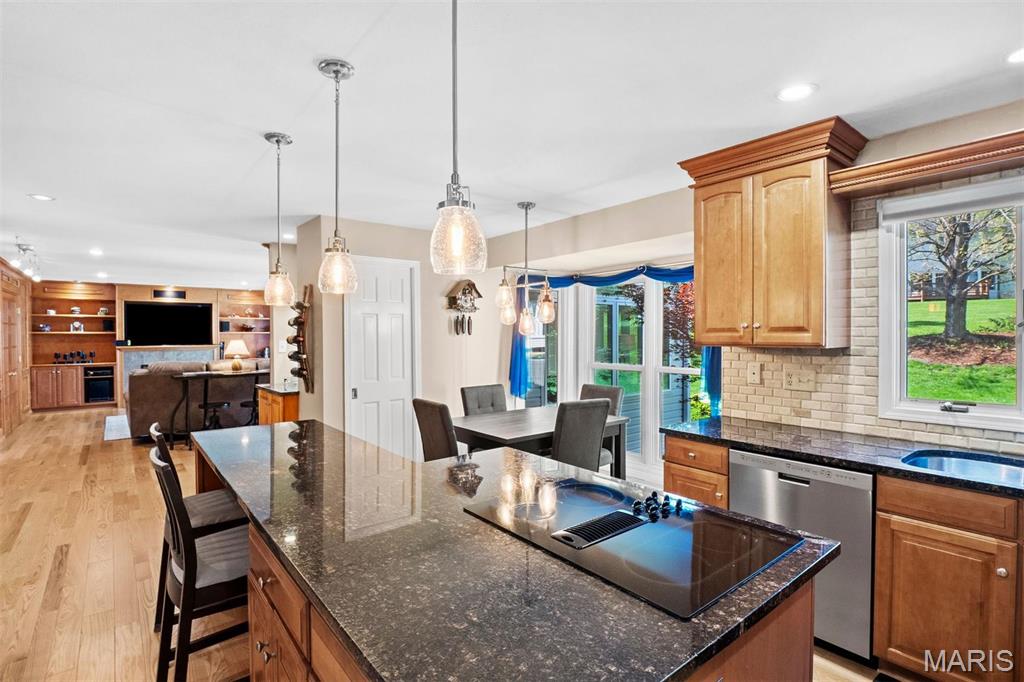 1304 Haute Loire Drive