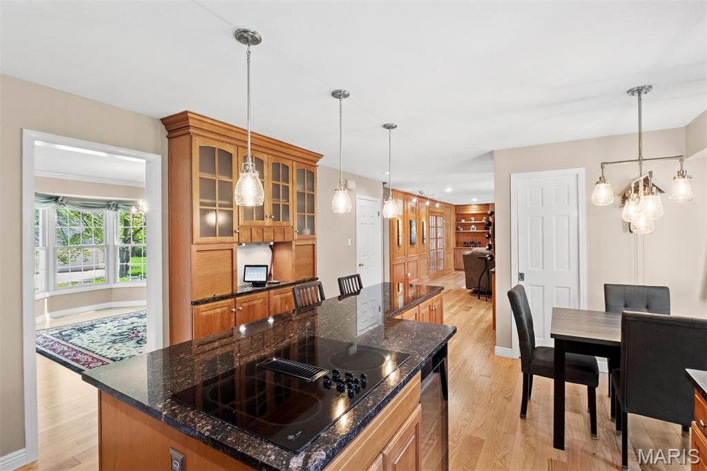 1304 Haute Loire Drive