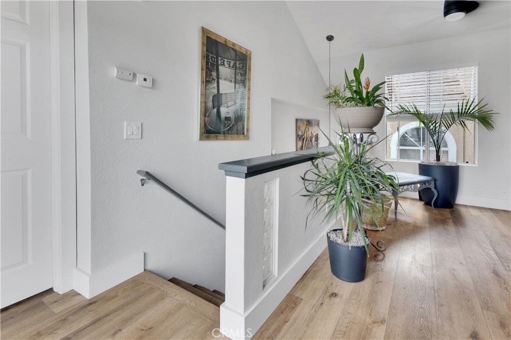 25072 Leucadia E