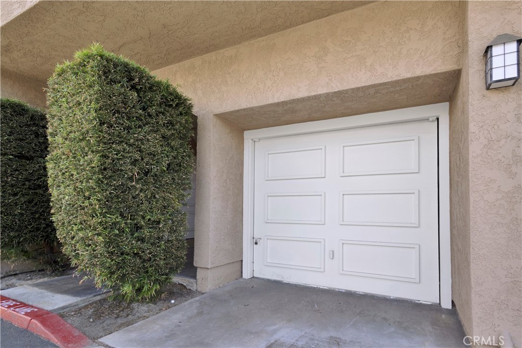25072 Leucadia E