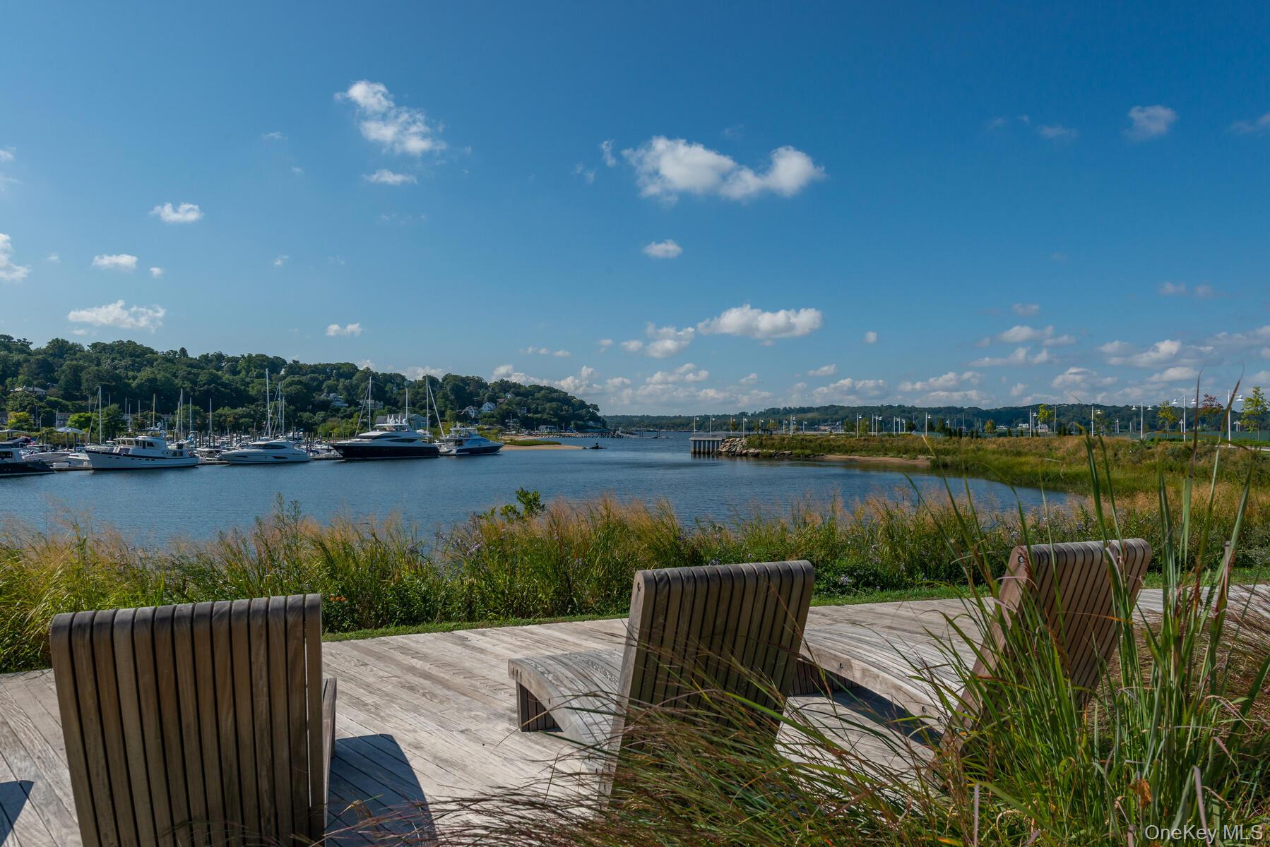 100 Garvies Point Road Unit: 1116