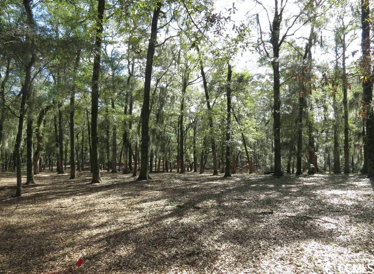 140 Pipedown Landing Dr.