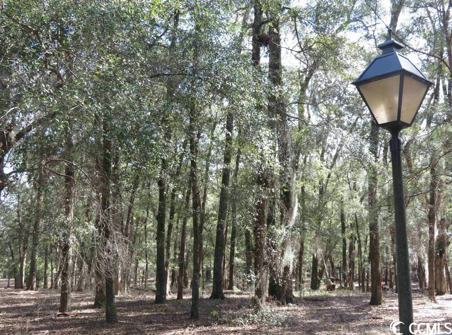 140 Pipedown Landing Dr.