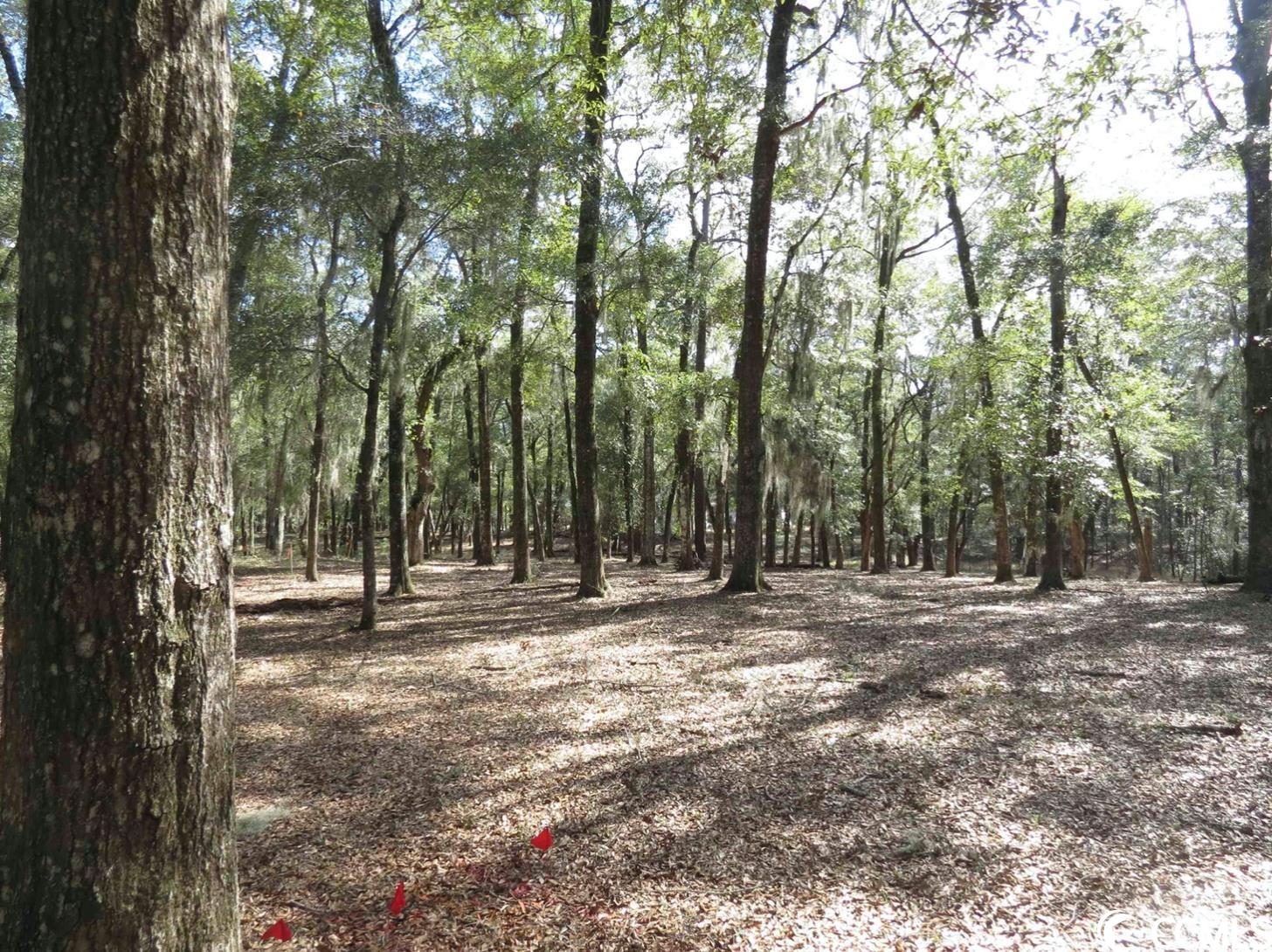 140 Pipedown Landing Dr.