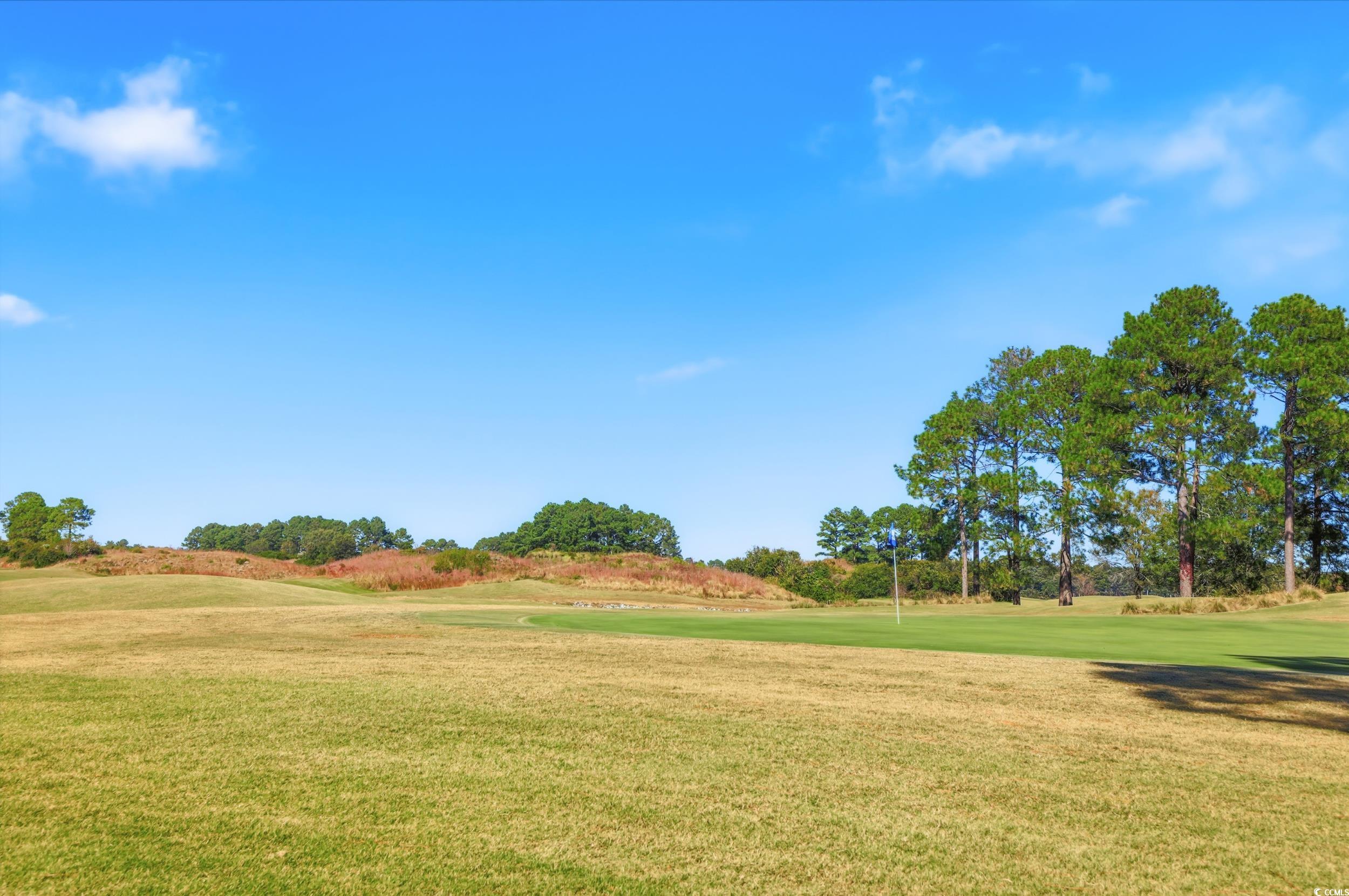 6010 Windsor Green Way Unit: 12-103