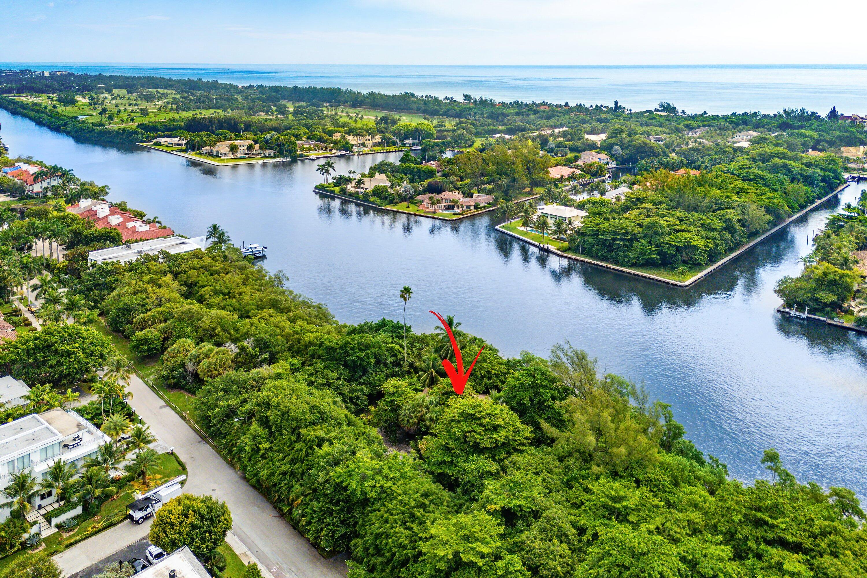 1001 Palm Trail