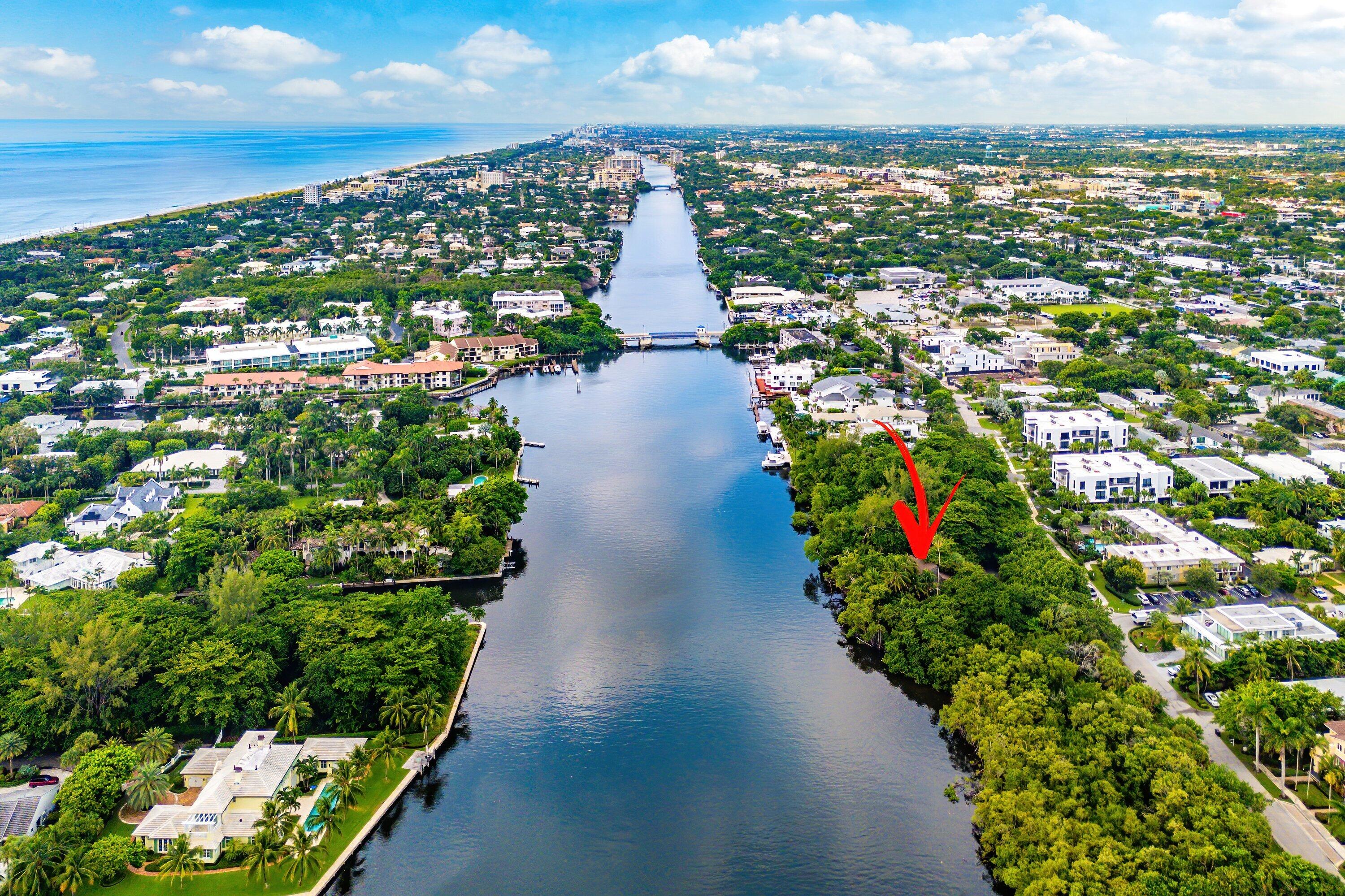 1001 Palm Trail