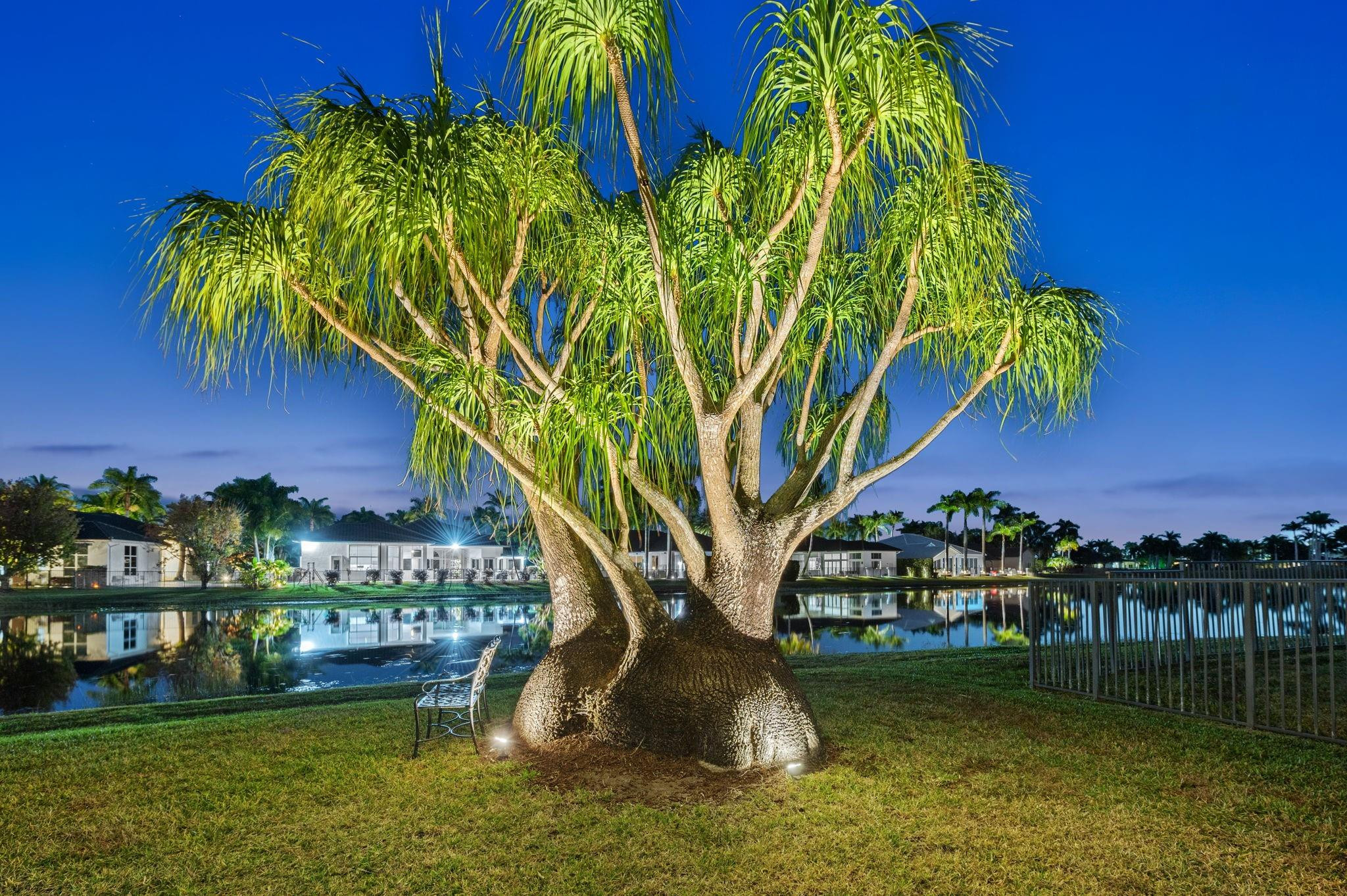 2494 Eagle Watch Lane