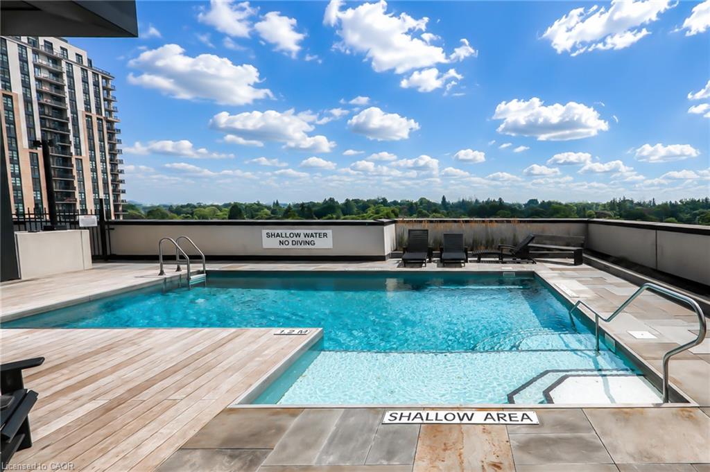 Rooftop pool with a shallow-entry area, lounge chairs, and treetop views.