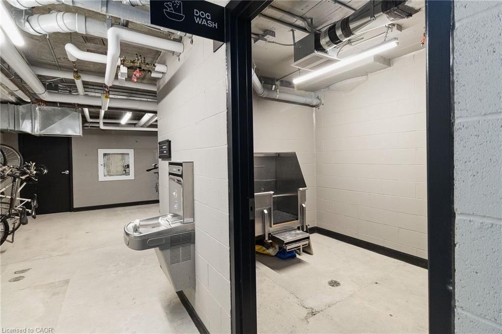 Condominium dog wash room with a stainless wash station and drinking fountain.
