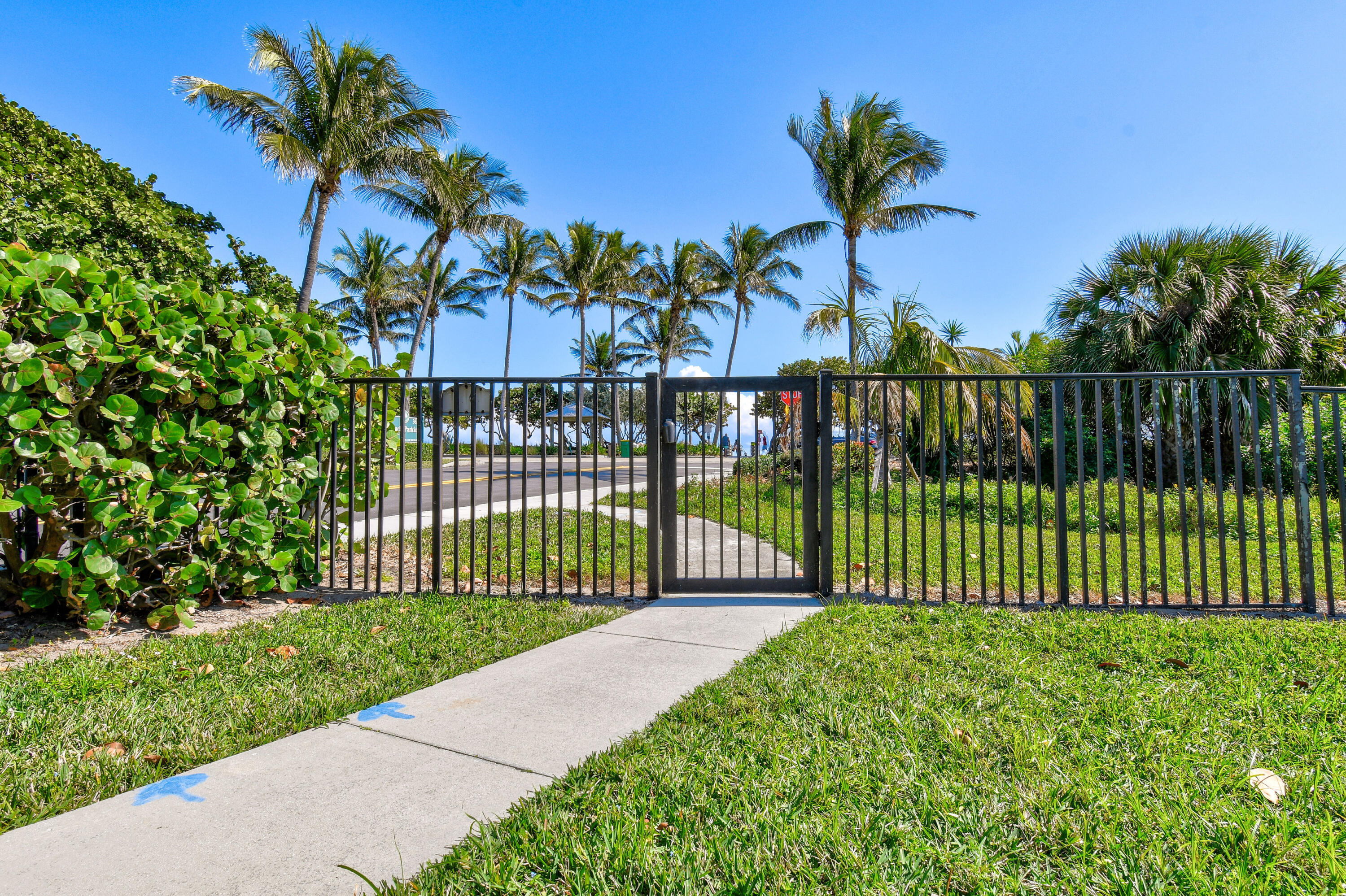 Gated walkway bordered by grass and palms leads toward a coastal road and a glimpse of water.