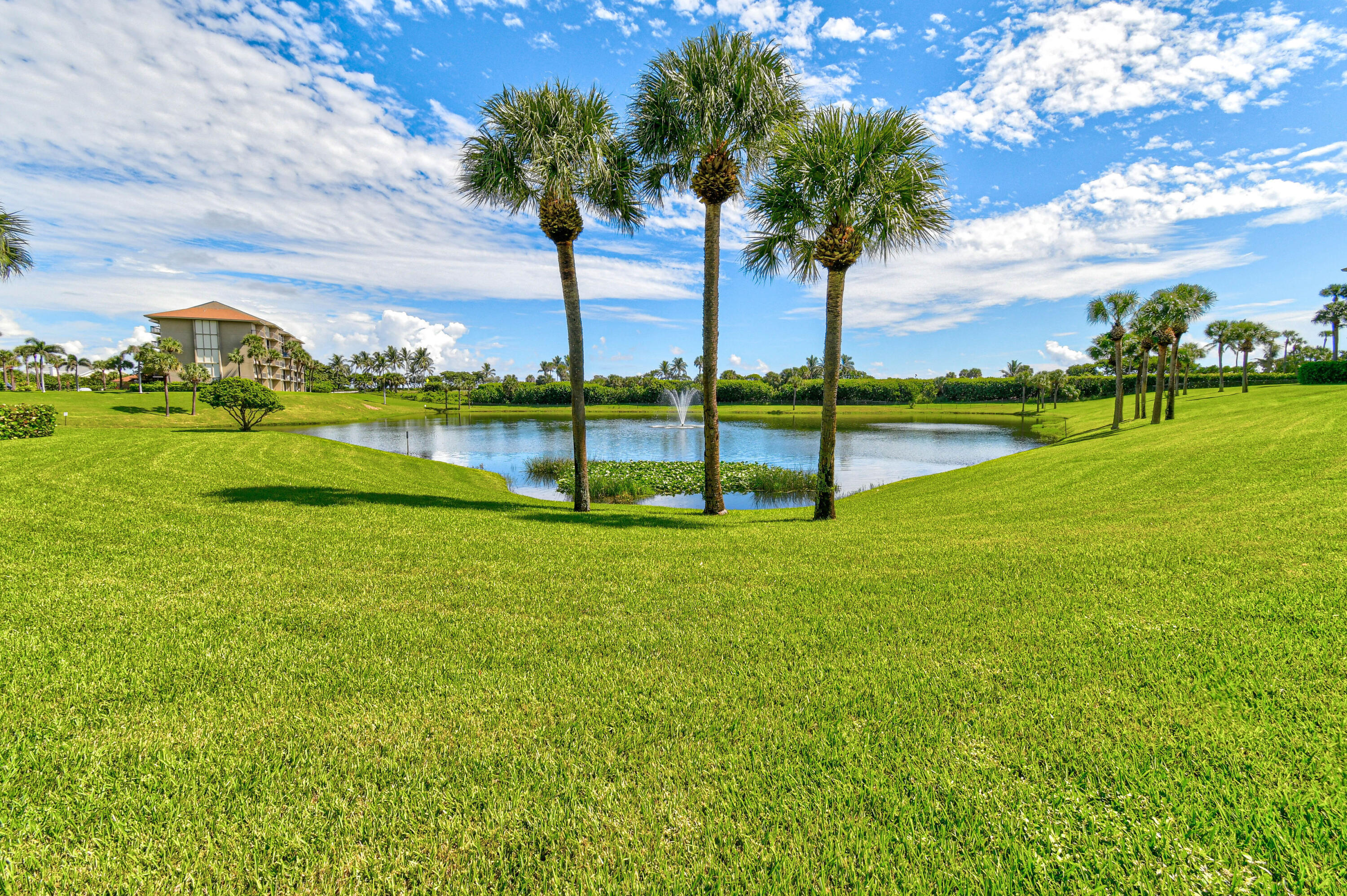 Landscaped condominium grounds with a pond, fountain, three tall palms, and broad green lawn.