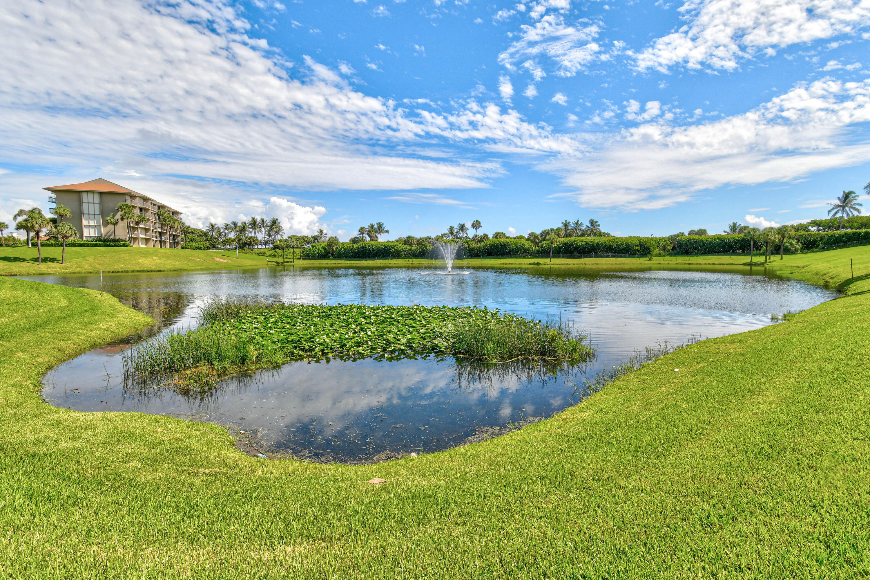 Landscaped pond with fountain and lily pads beside a condominium building.