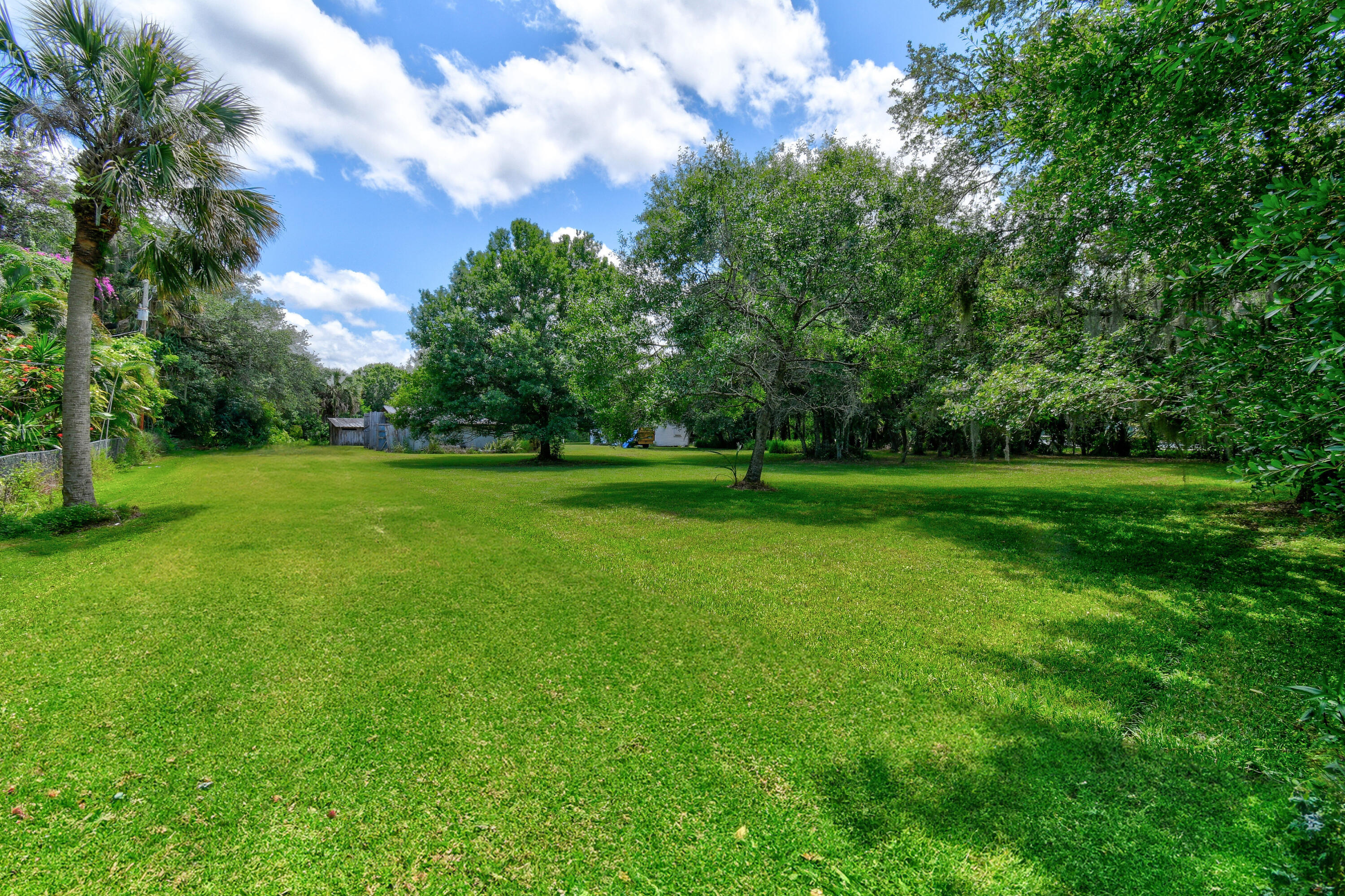 Wide grassy lot shaded by mature trees, with a palm and small outbuildings in the distance.