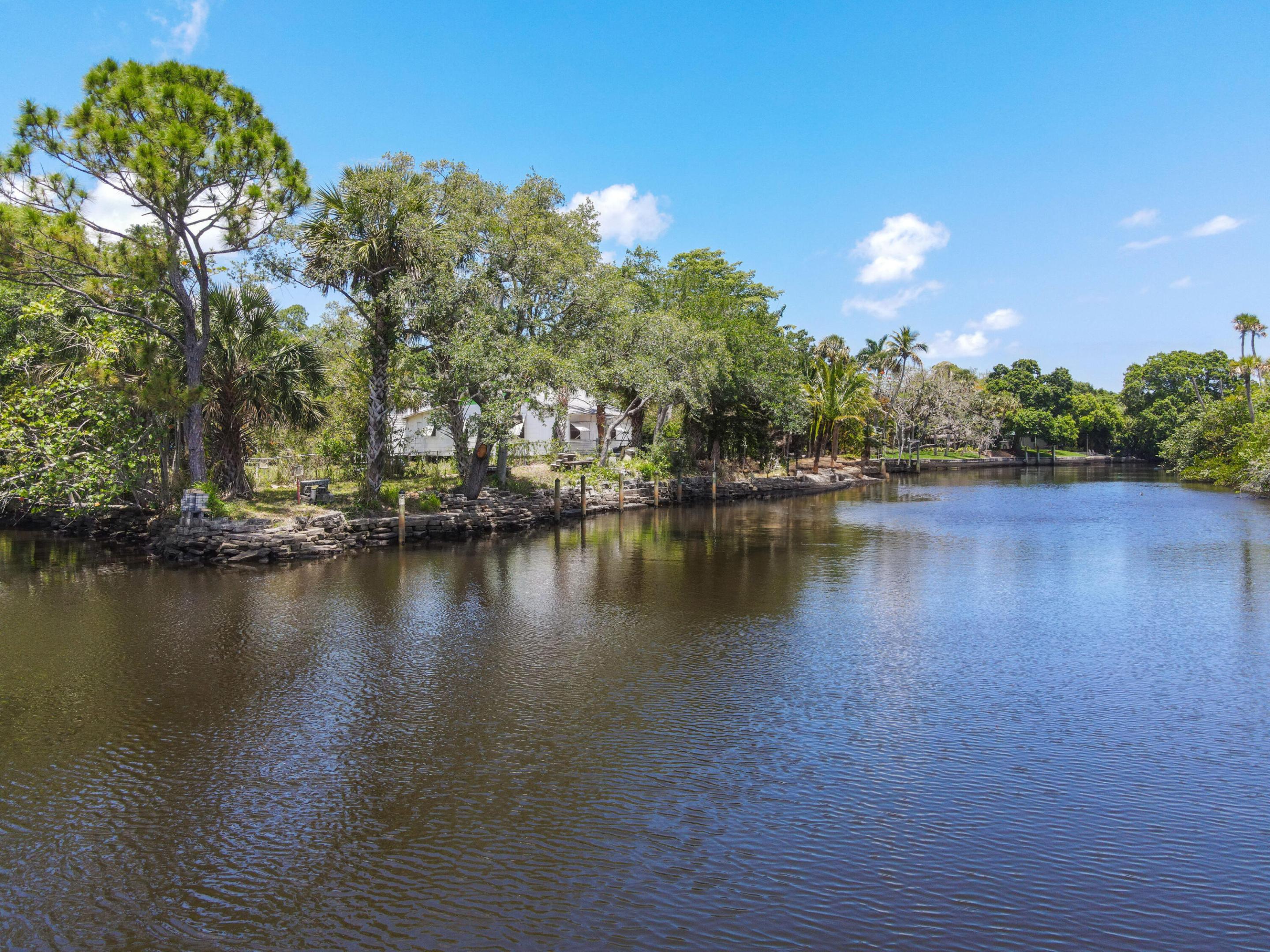 Tree-shaded home beside a canal, with a stone shoreline wall and palm-lined banks.