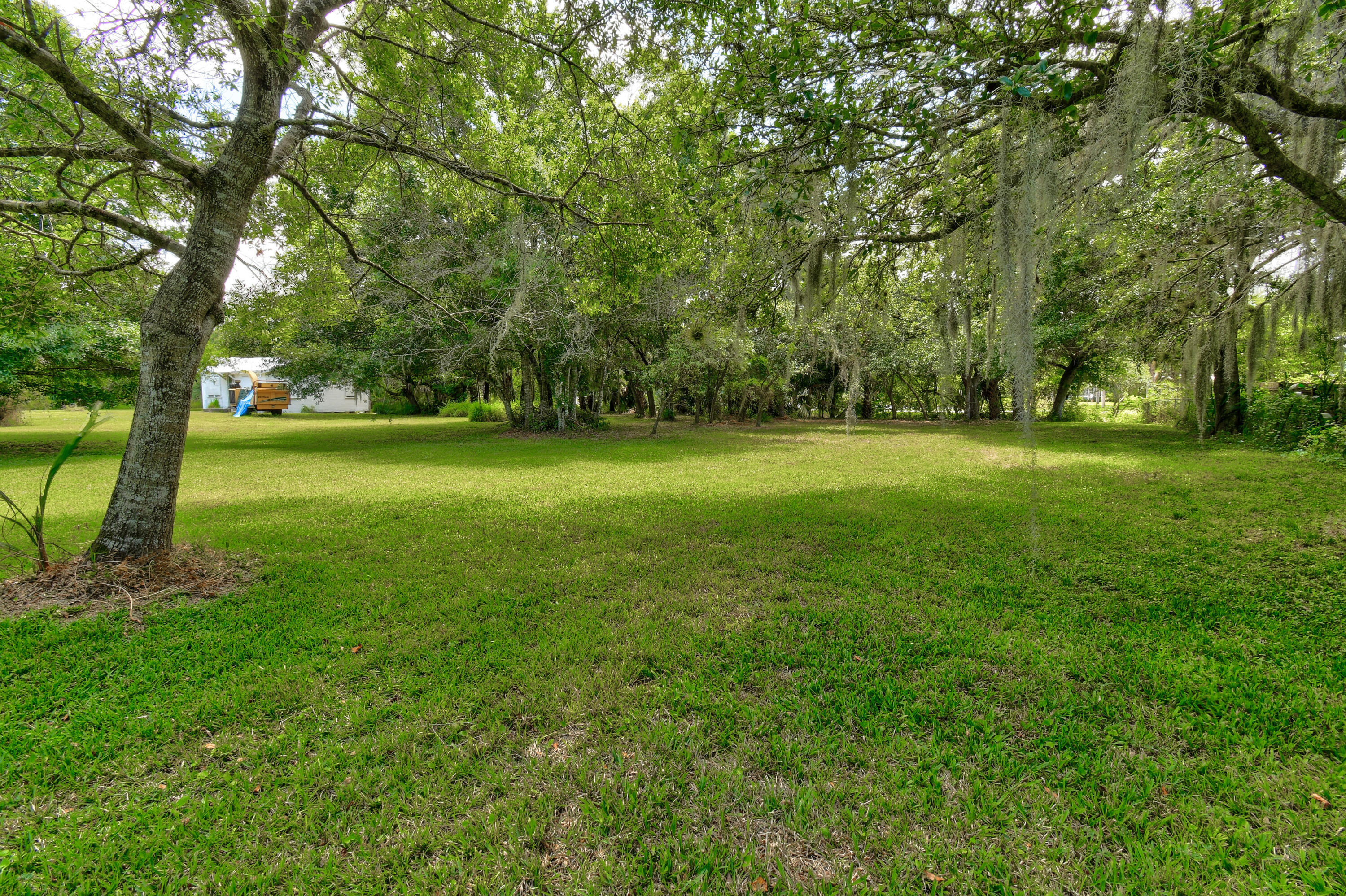 Grassy property yard shaded by large Spanish moss-draped trees, with a white outbuilding and yellow trailer in the distance.