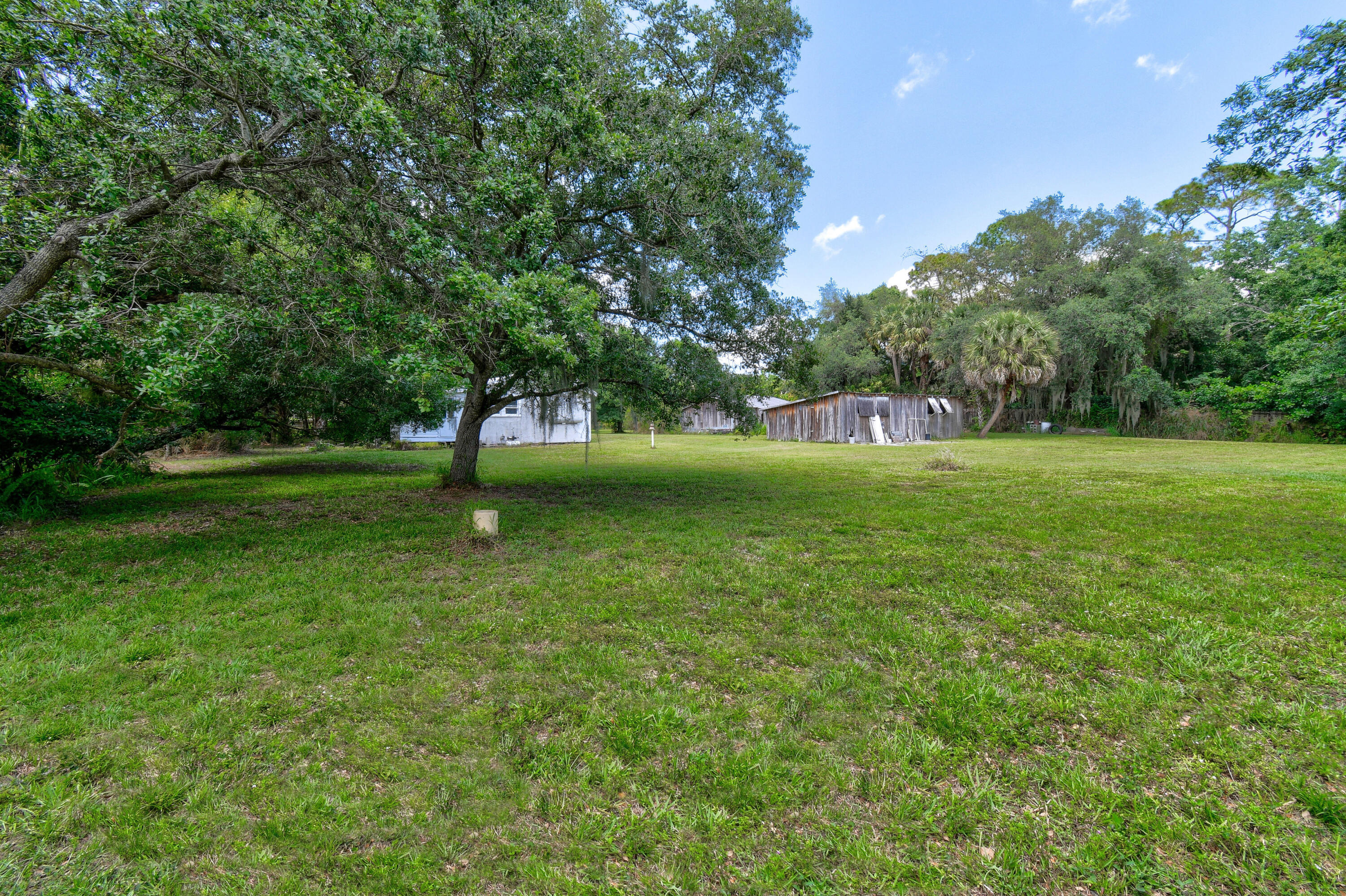 Grassy property yard shaded by mature trees, with two weathered outbuildings in the distance.