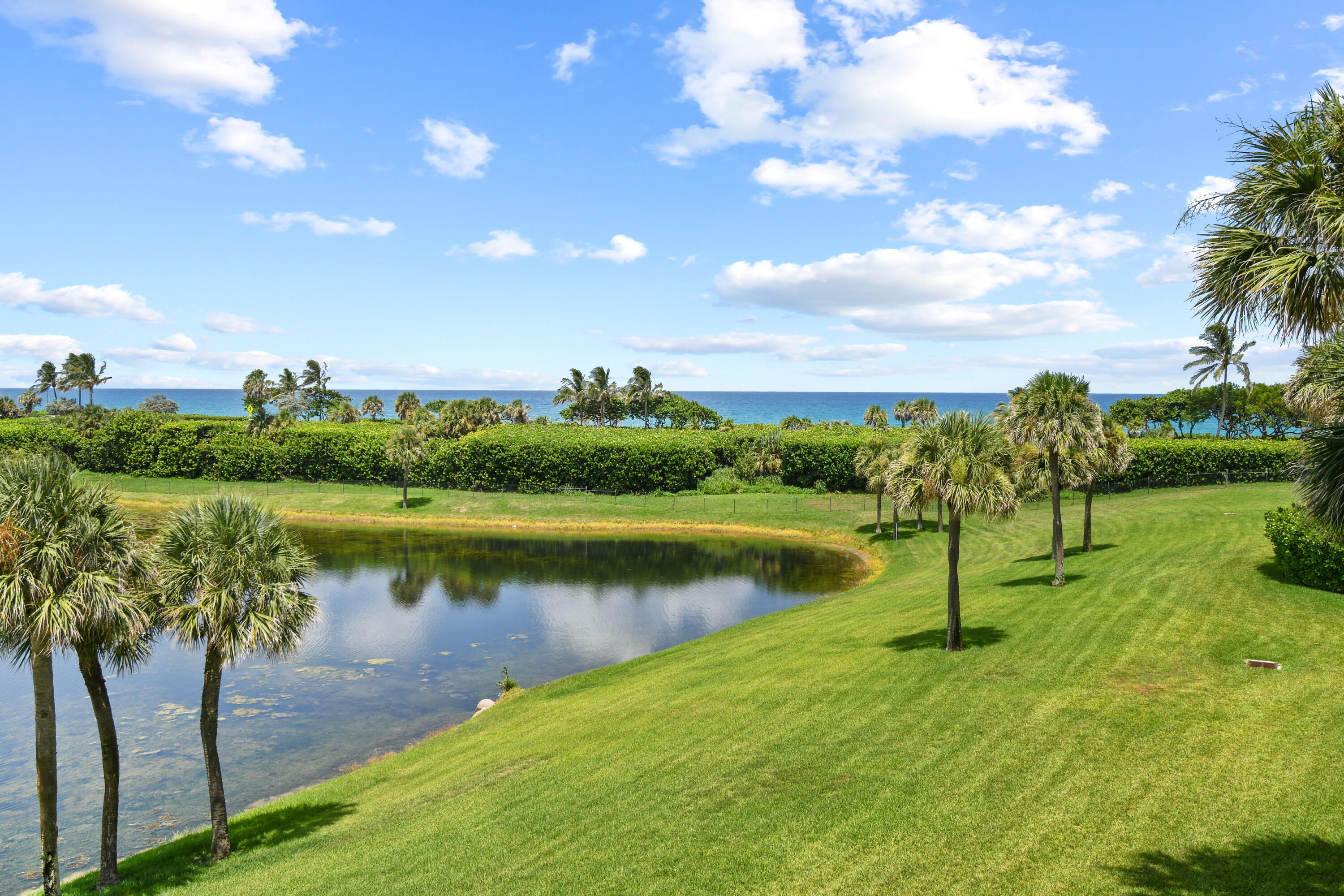 Landscaped lawn and pond with palm trees overlooking the ocean.