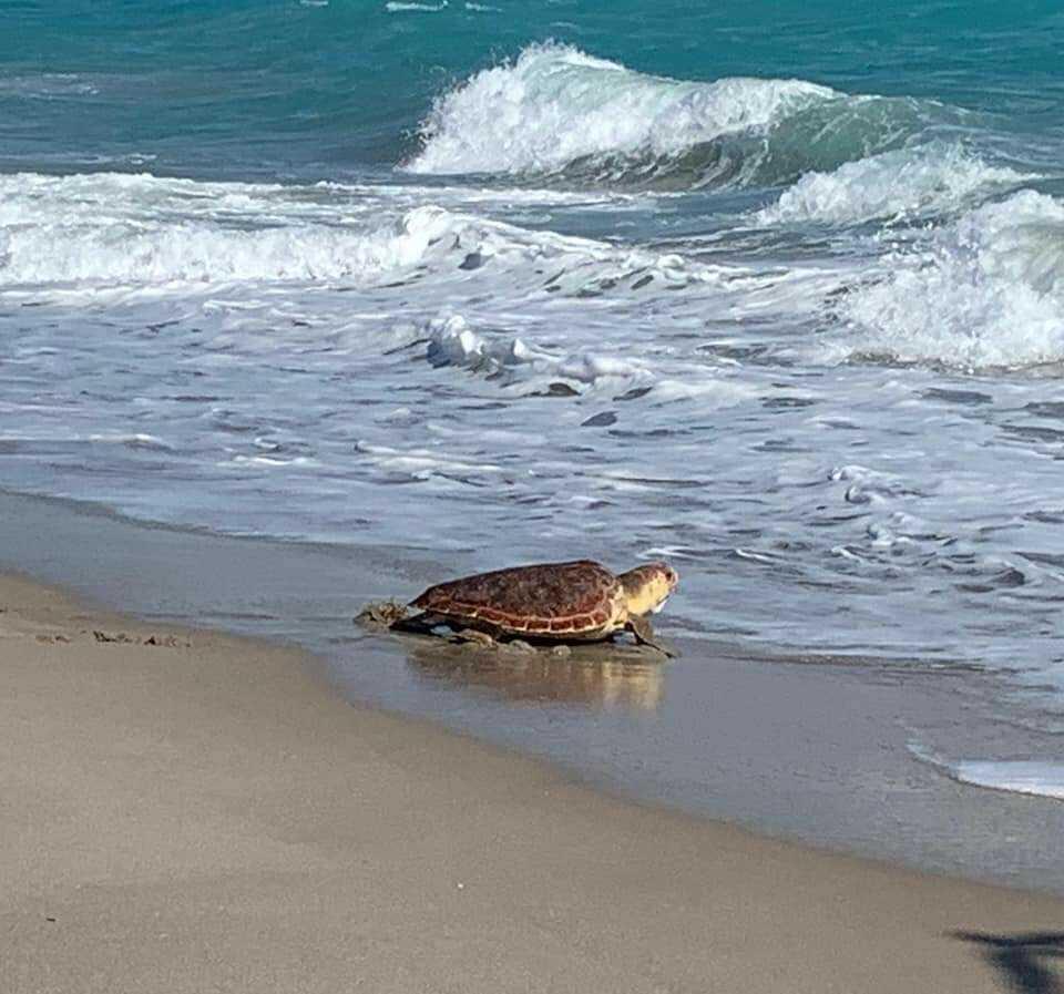 1306 Mainsail Circle