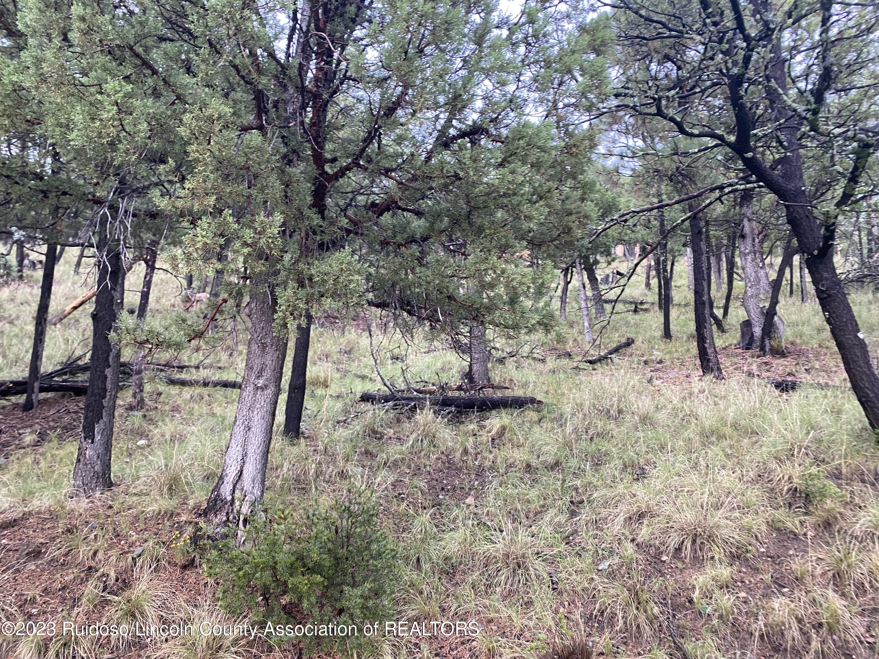 Lot 16 Lakeshore Drive