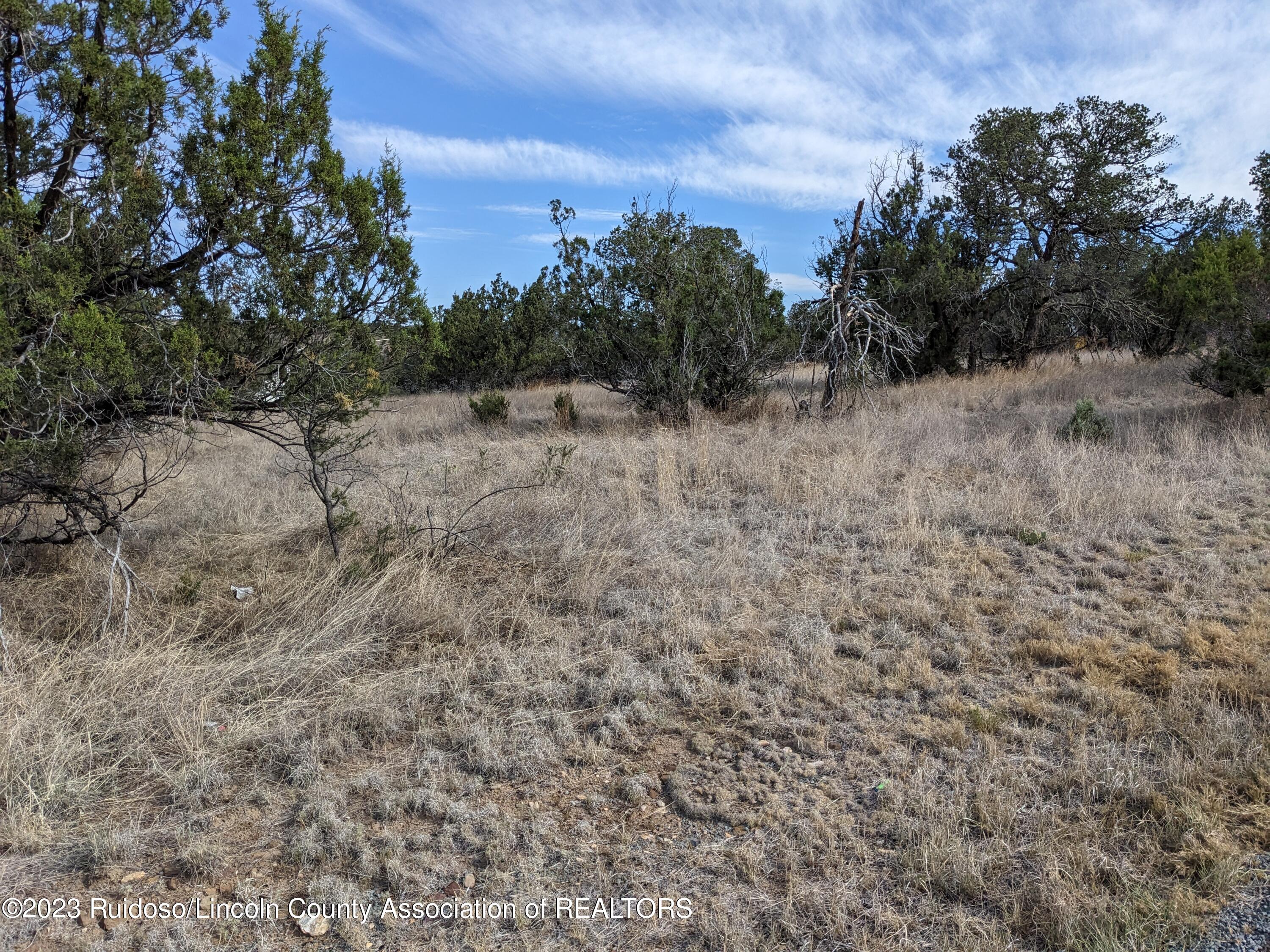 109 Crest View Road