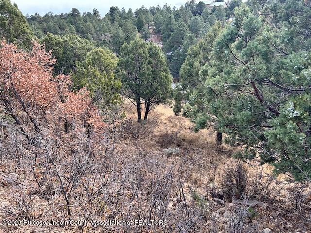 Lot 19 Alto Mesa Drive