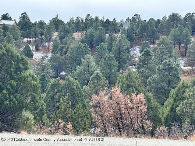Lot 19 Alto Mesa Drive