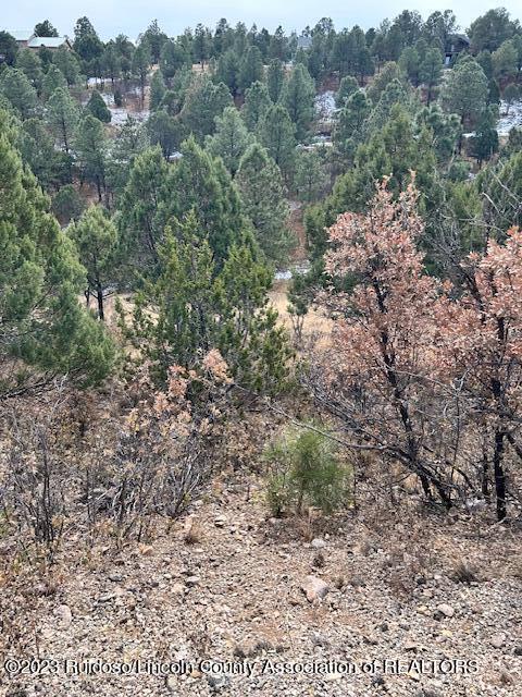 Lot 19 Alto Mesa Drive