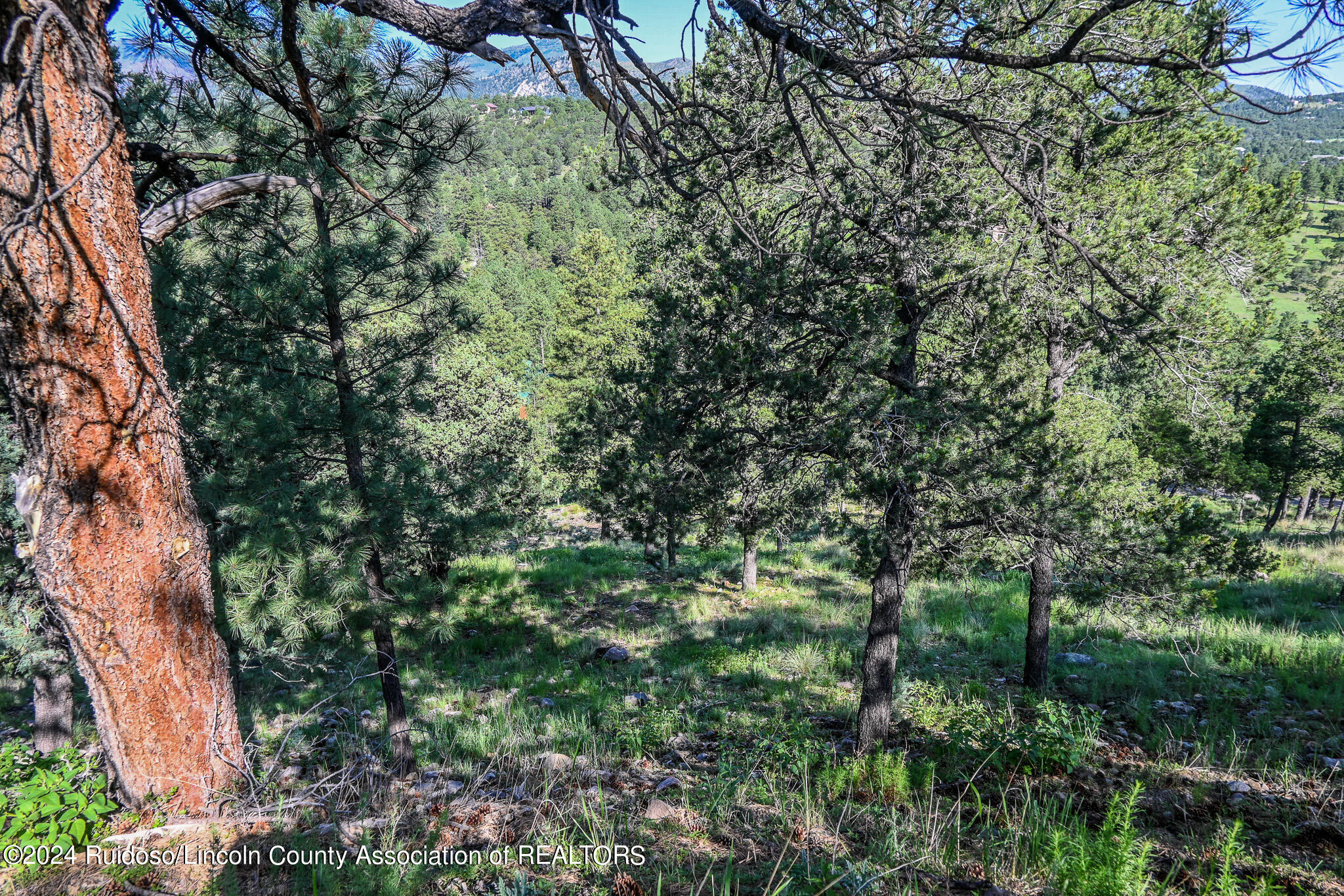 Lot 25 Holly Drive