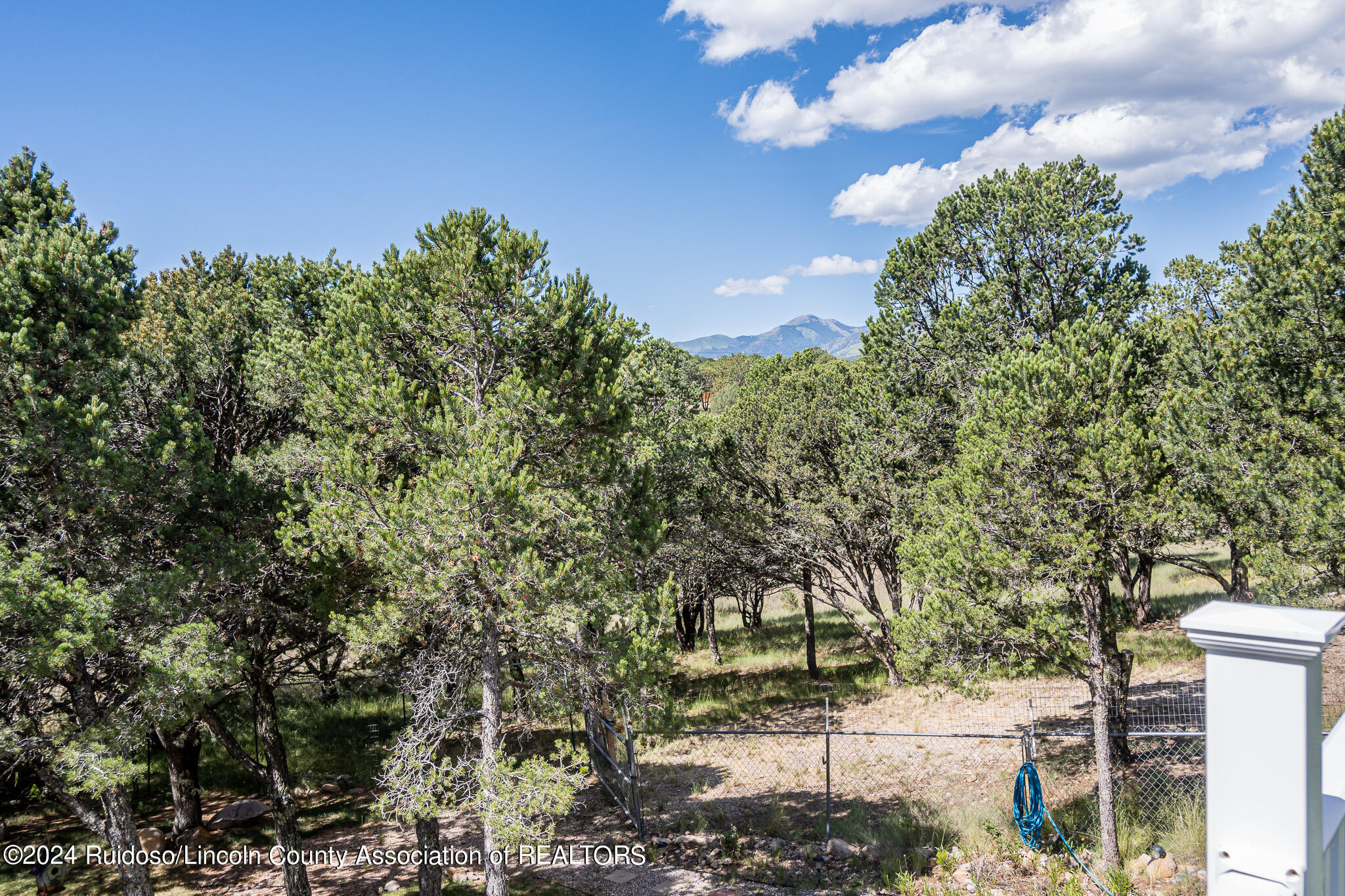 118 Altamira Drive