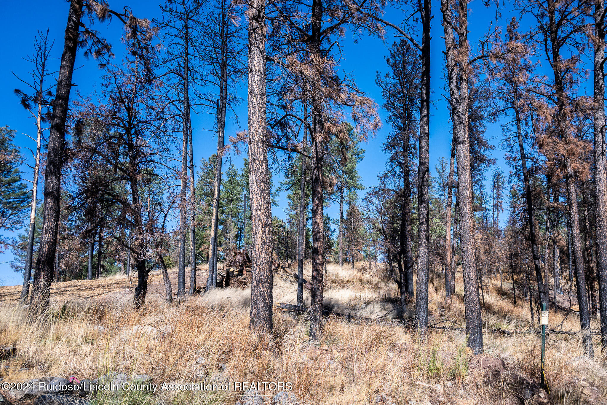 Lot 2 Sunset Drive