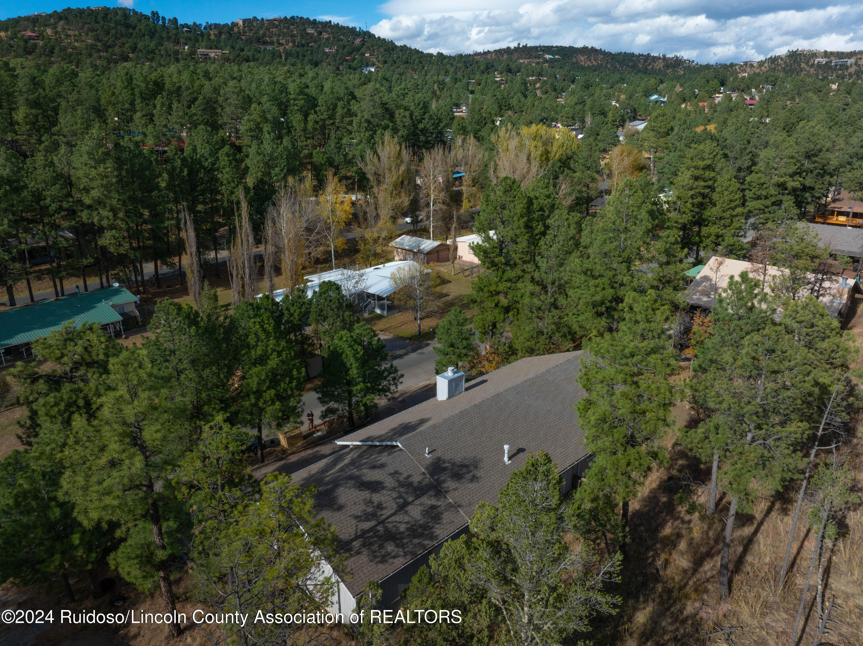 106 White Mountain Meadows Dr