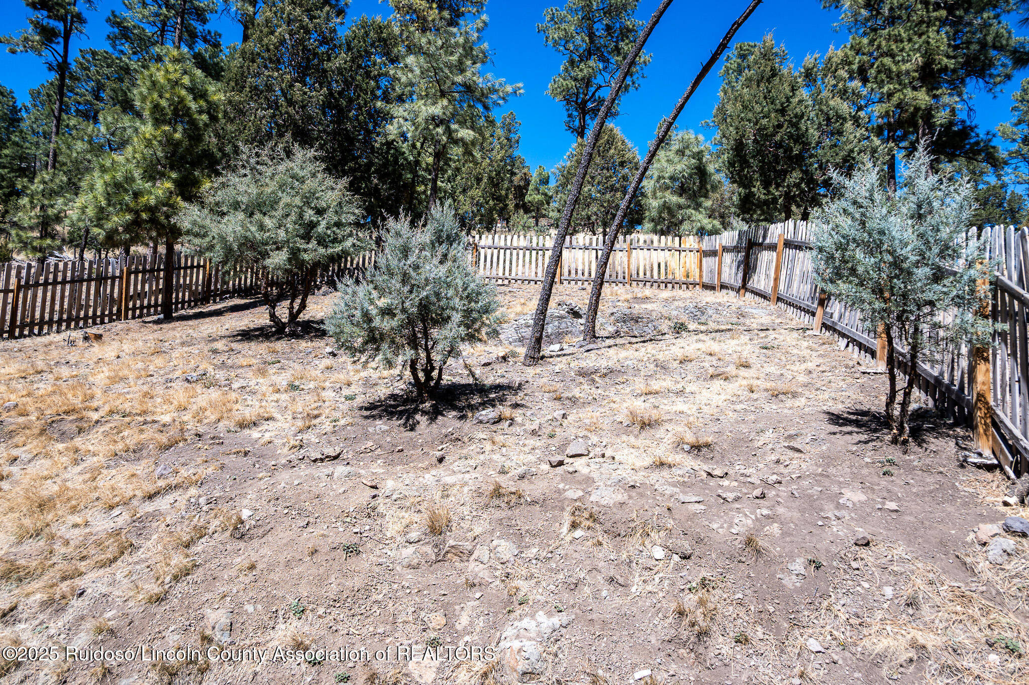 104 Mustang Drive