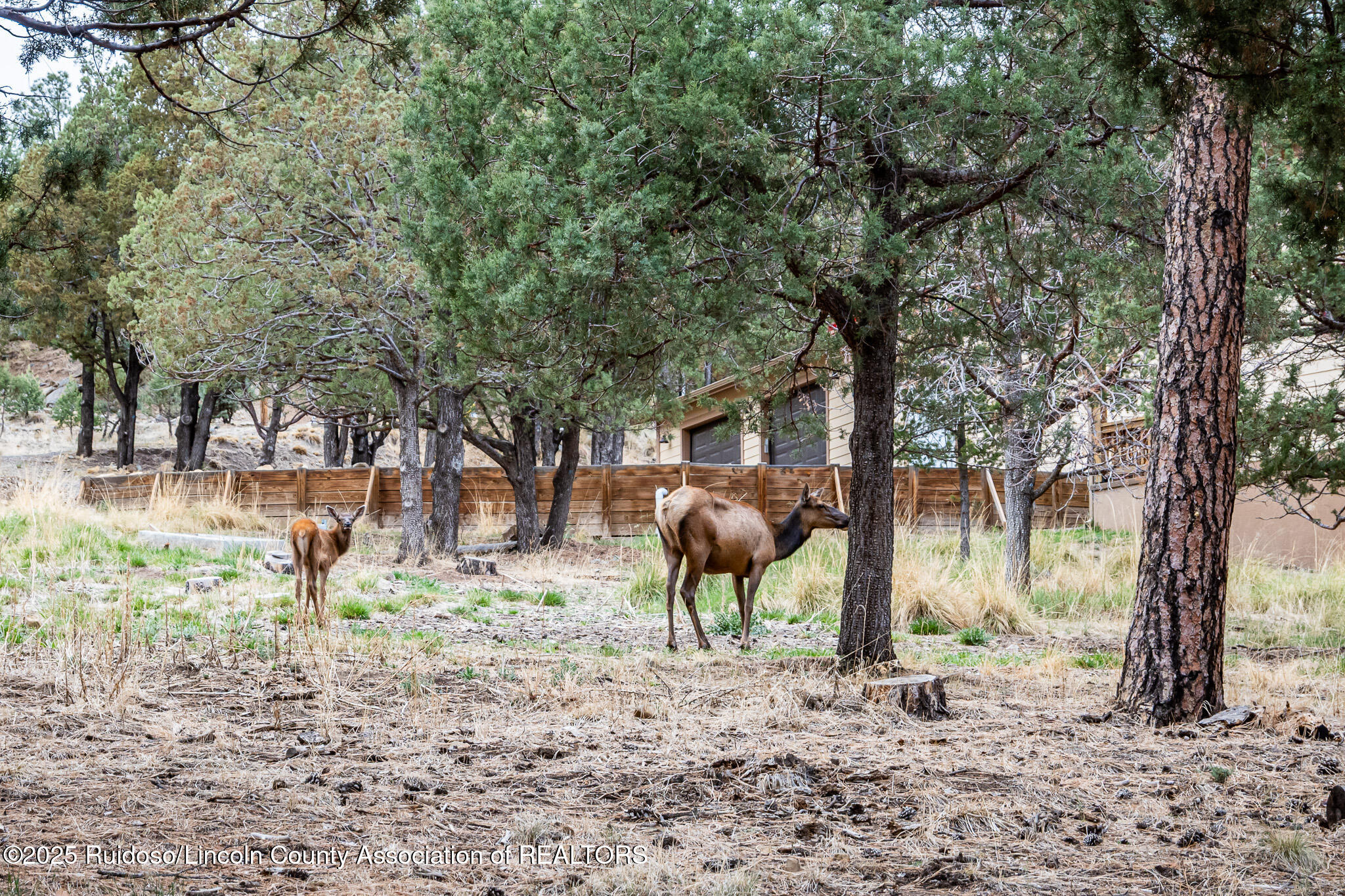 115 Whispering Pines Way