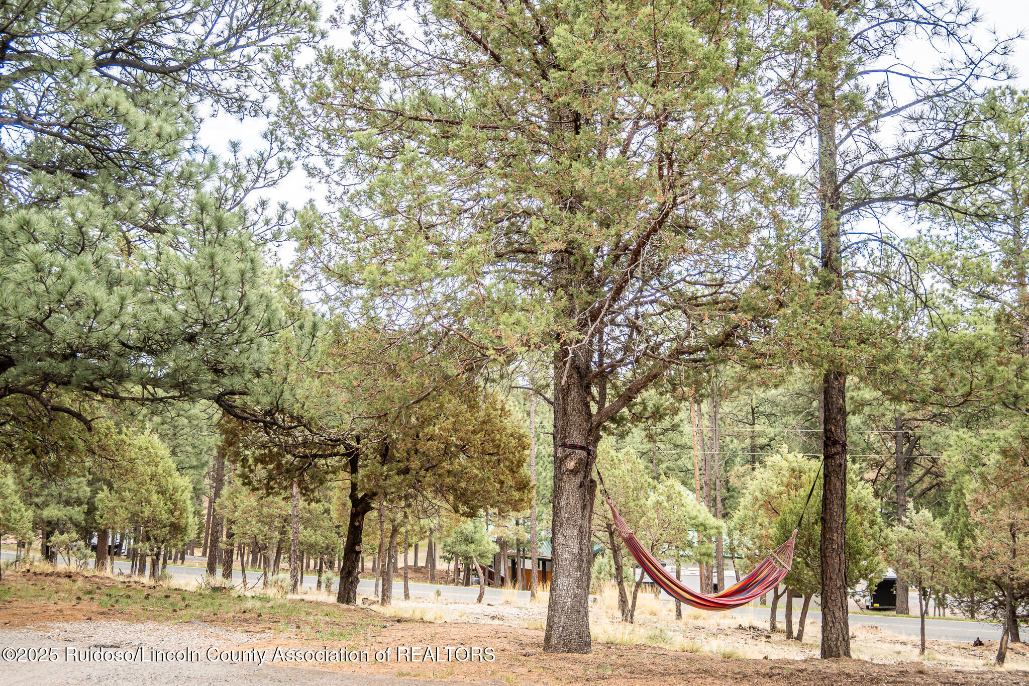 115 Whispering Pines Way