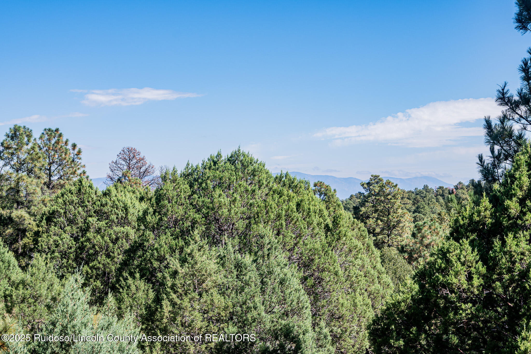 154 Mountain Sun Trail