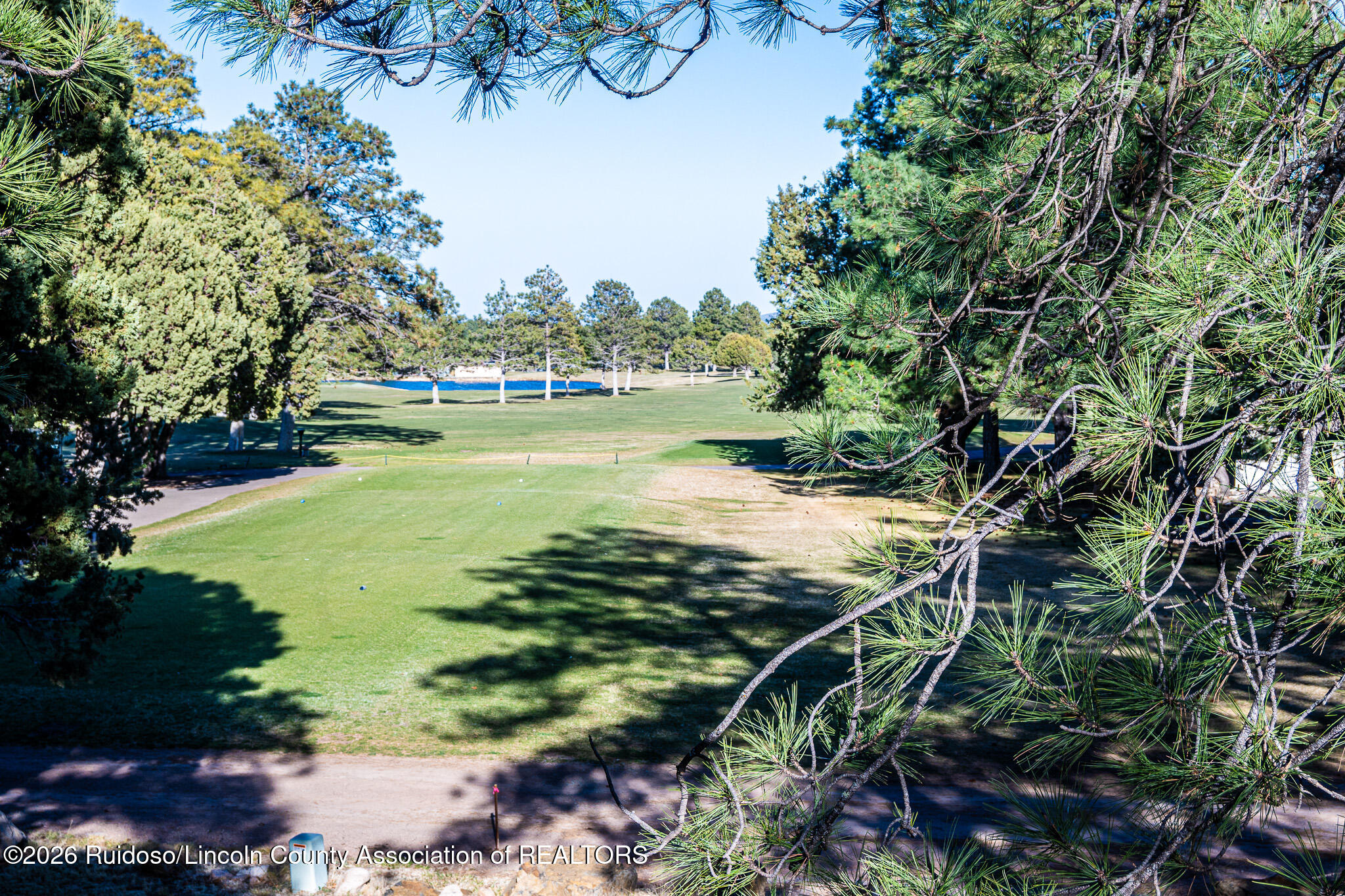 411 High Mesa Road