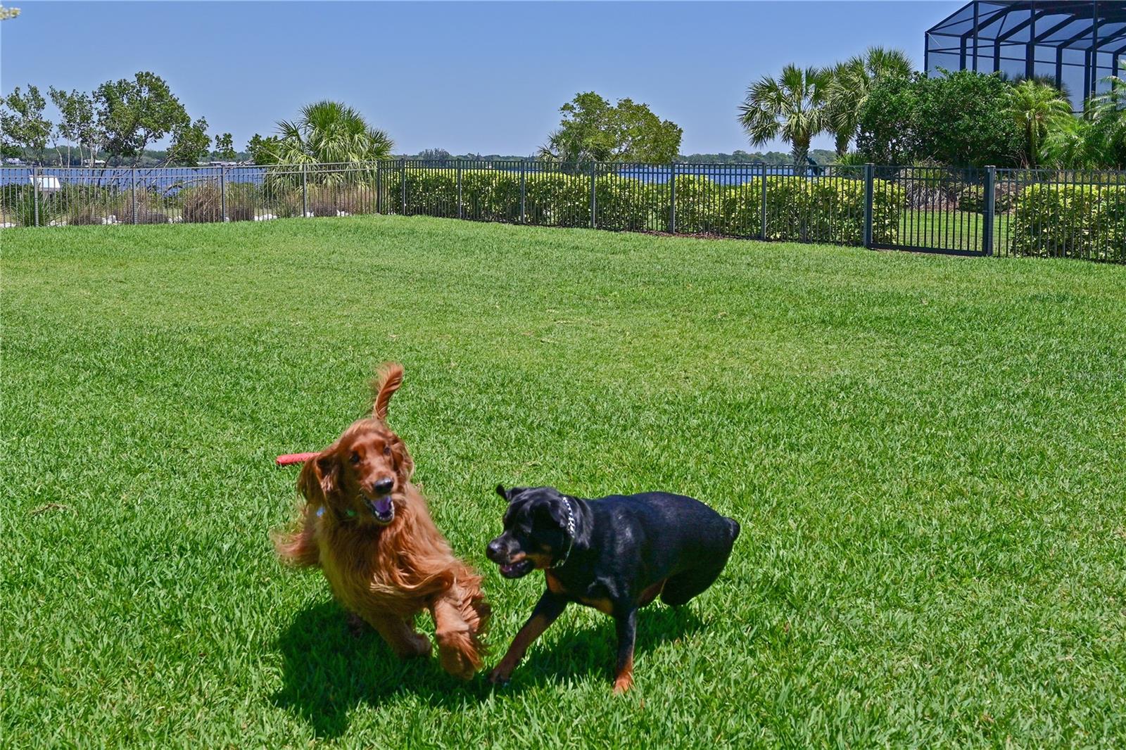 1020 TIDEWATER SHORES LOOP #108