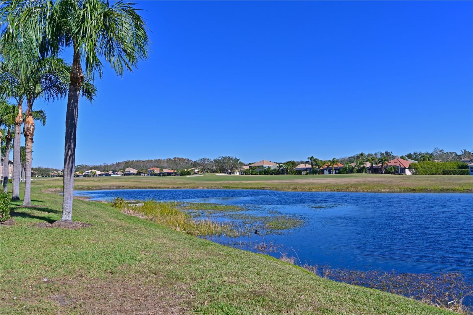 1003 FAIRWAYCOVE LN #101